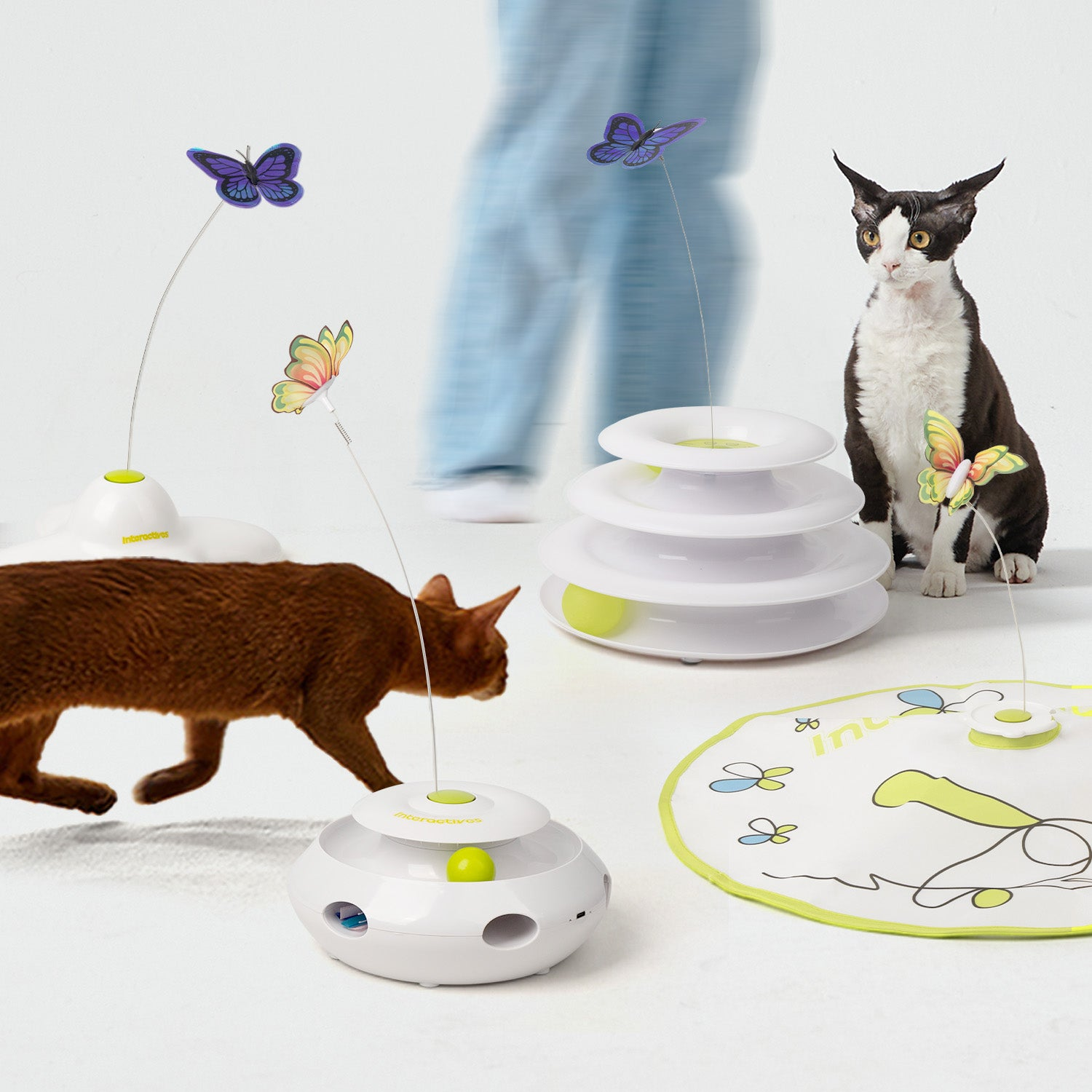 All For Cats - AFP(All for Paws) Pet Supplies 