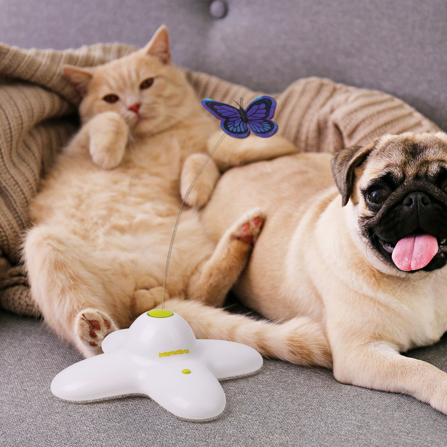 All For Sales - AFP(All for Paws) Pet Supplies 