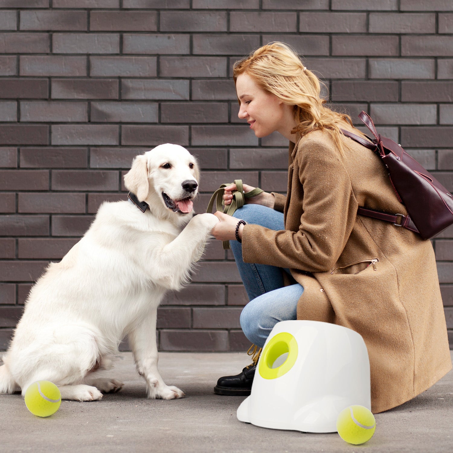 Best Selling Products for Your Pets