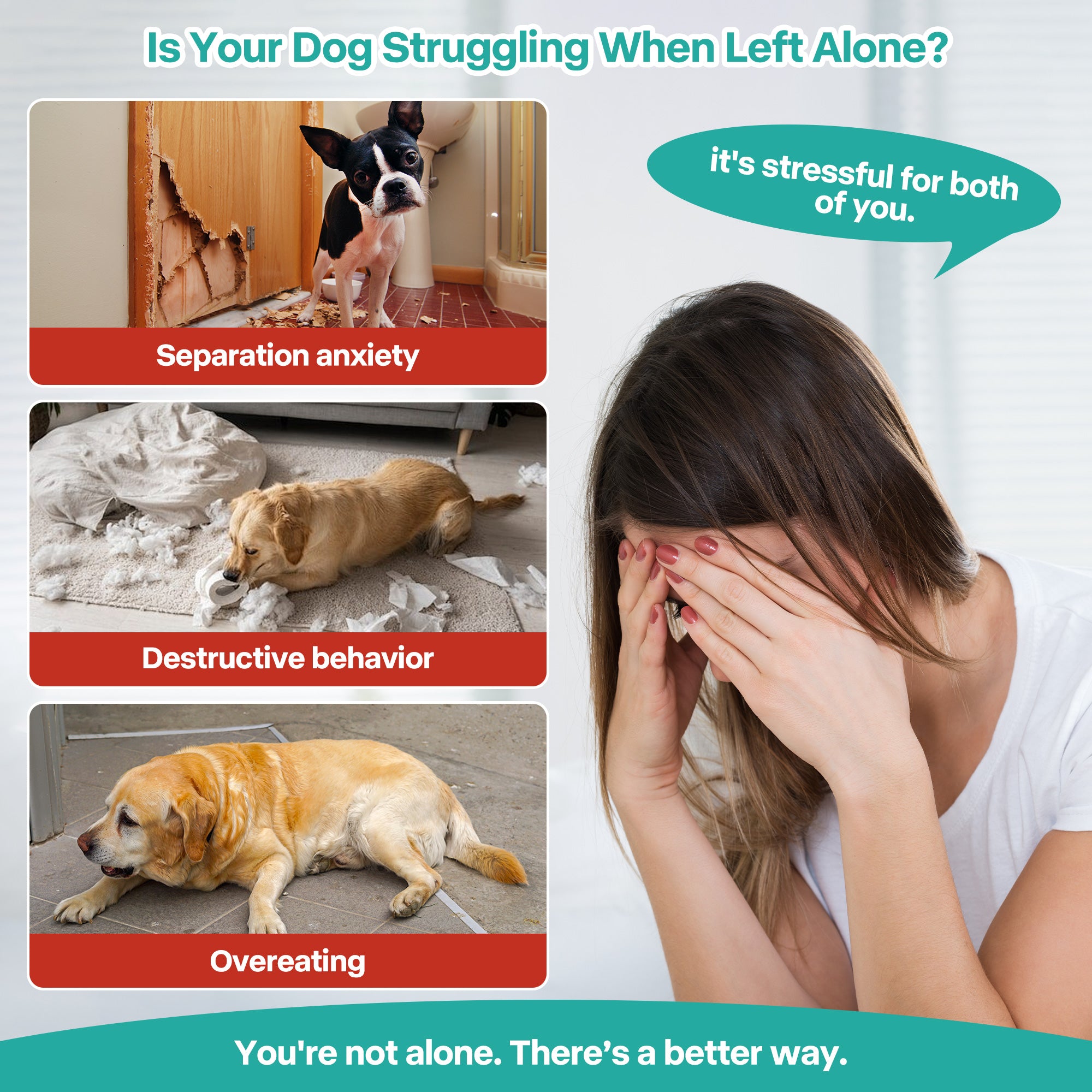 AFP(All For Paws) Pet Products
