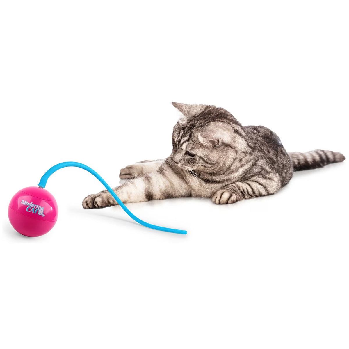 Modern Cat - Whirling tail Cat Toy