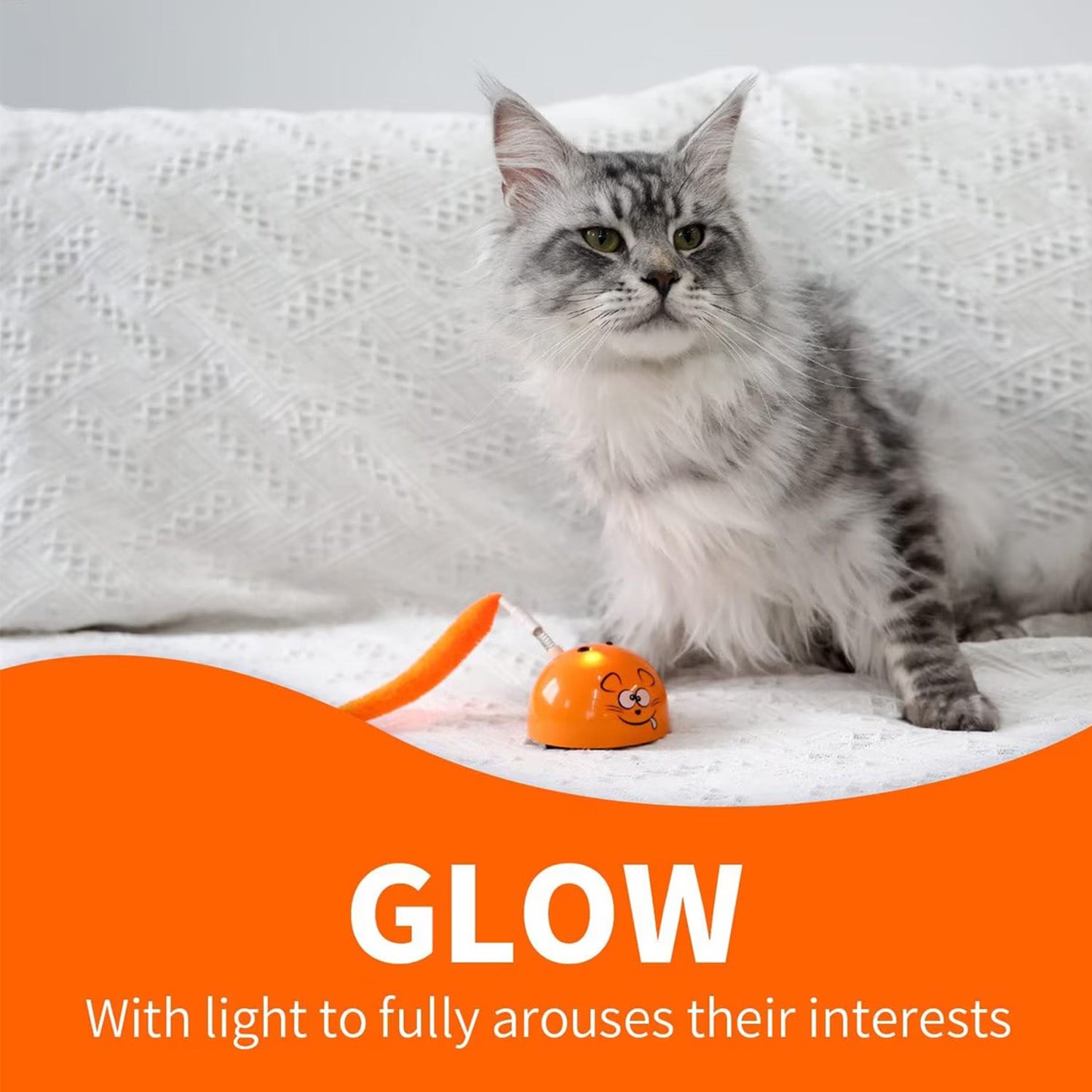Modern Cat- Mad Mouse Cat Toy