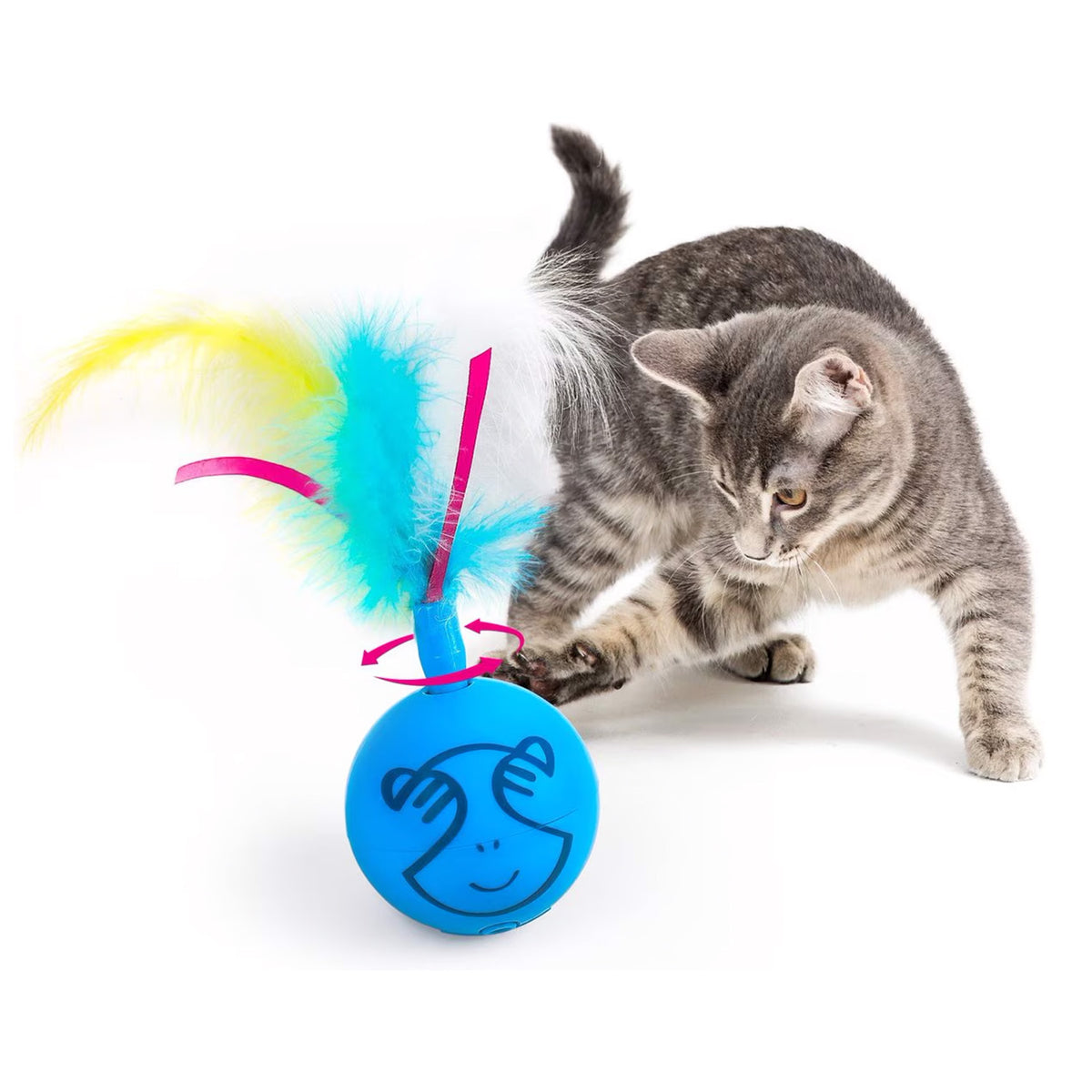 Mordern Cat - Dizzy Spinner Cat Toy