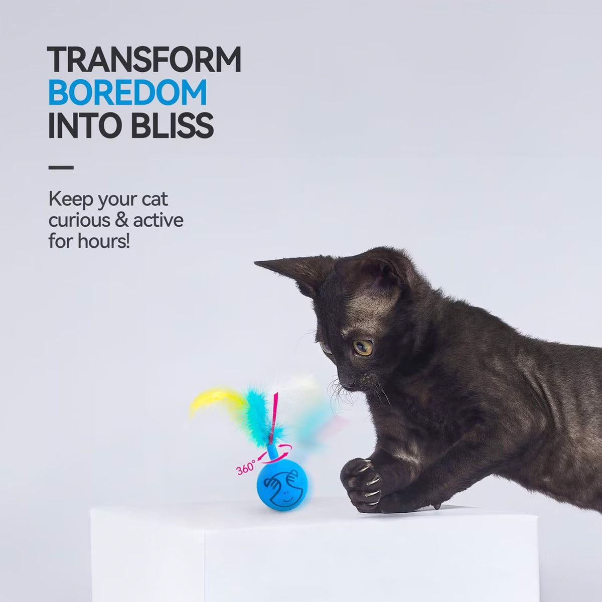 Mordern Cat - Dizzy Spinner Cat Toy