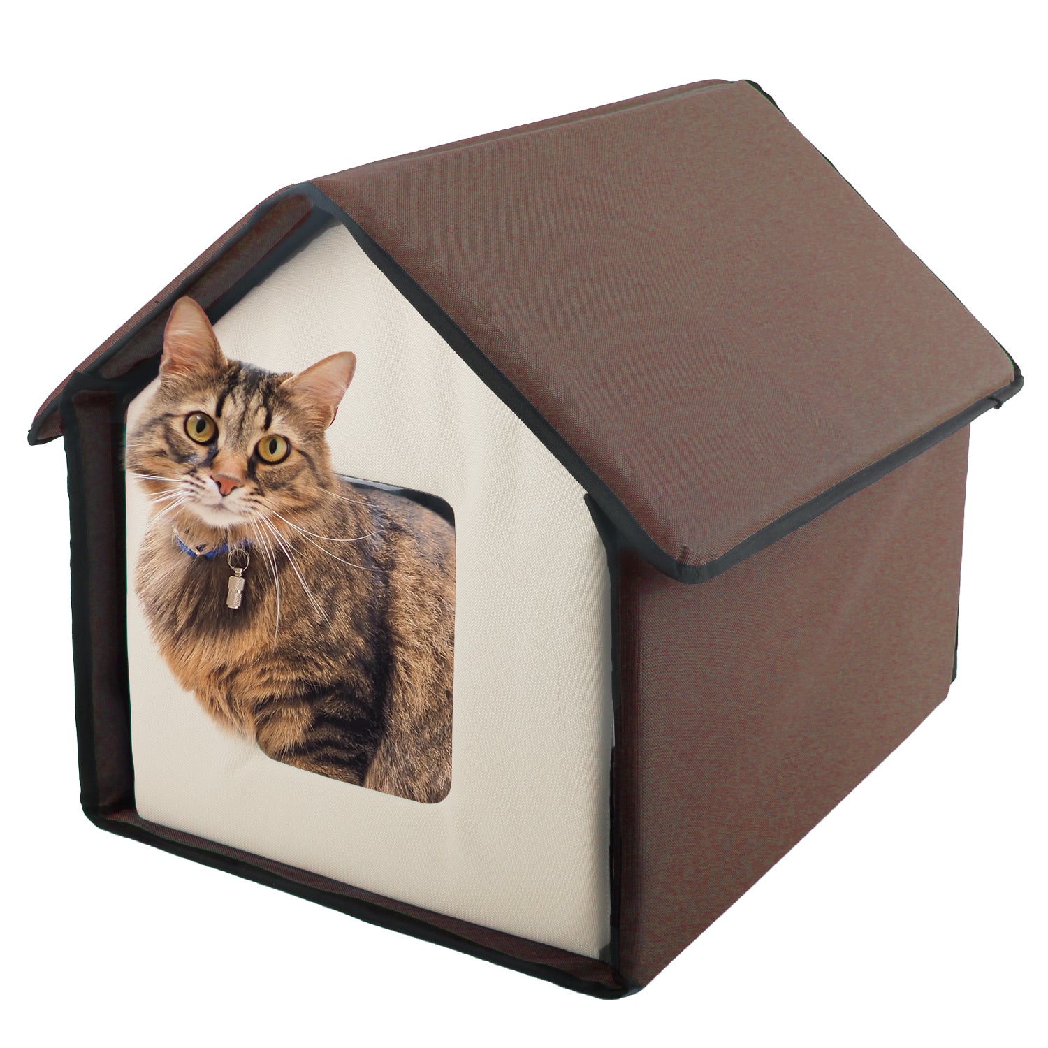 heated cat house
