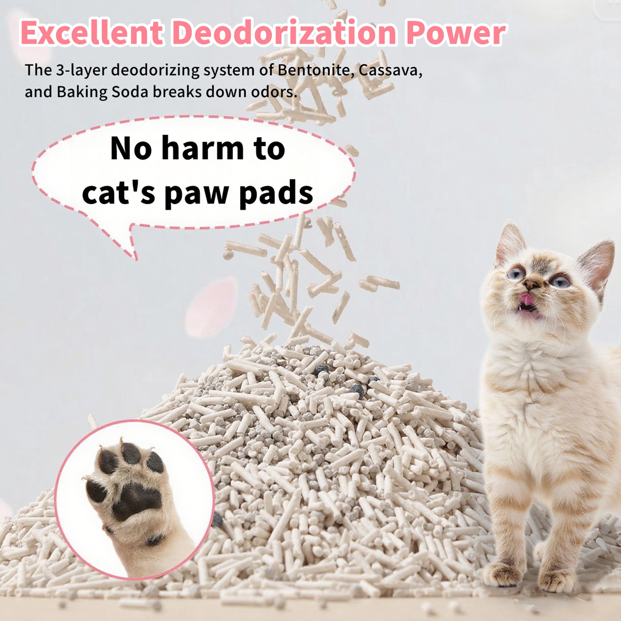 AFP(All For Paws) Pet Products