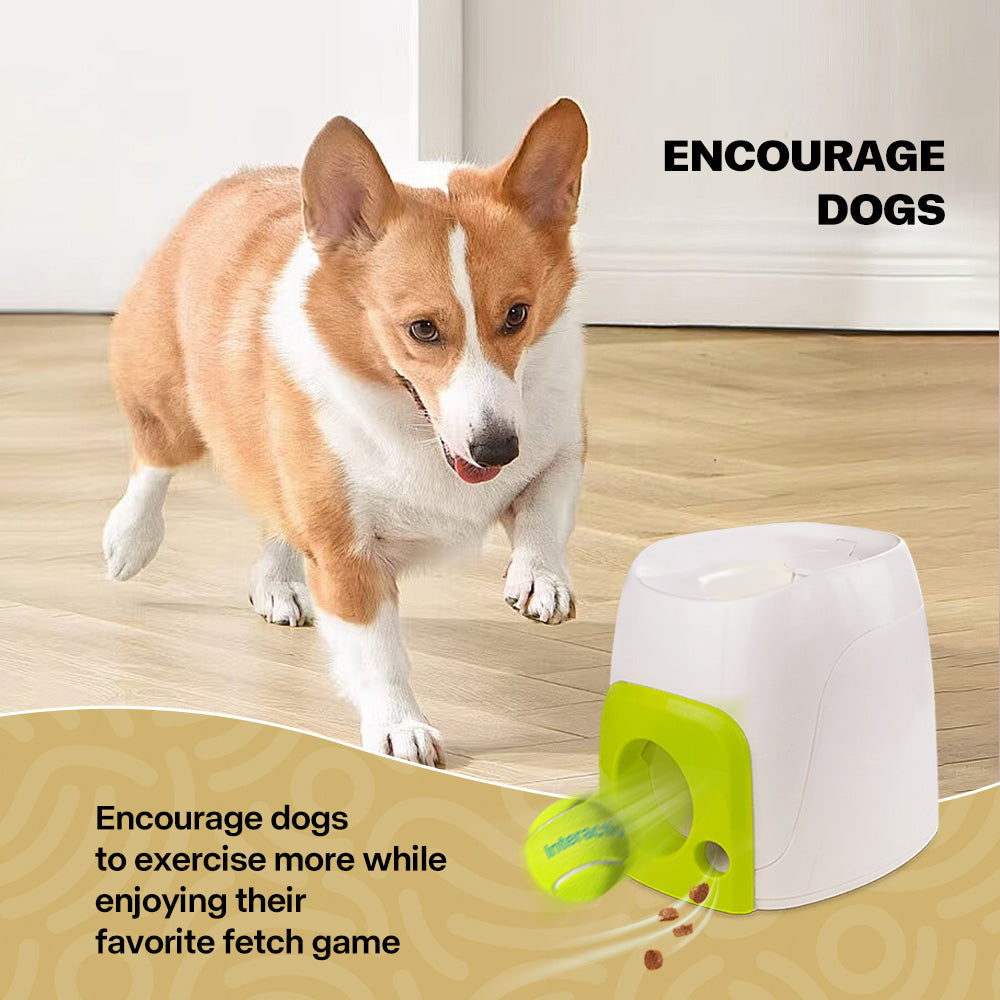 AFP(All For Paws) Pet Products