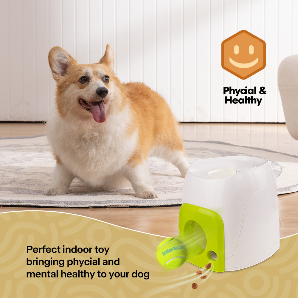 Interactive - Dog Toy - Dog Treat Rewarder