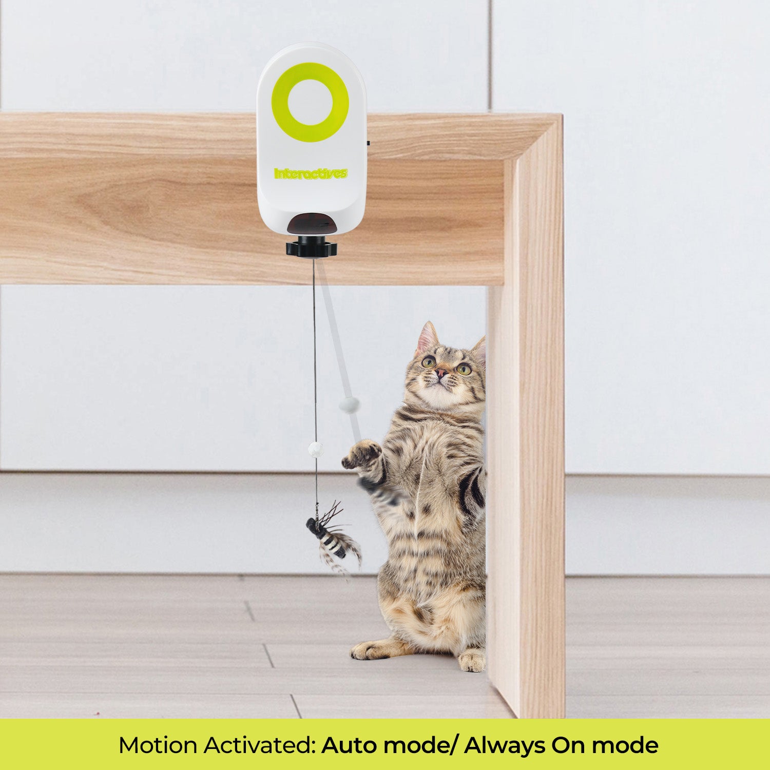 AFP(All For Paws) Pet Products