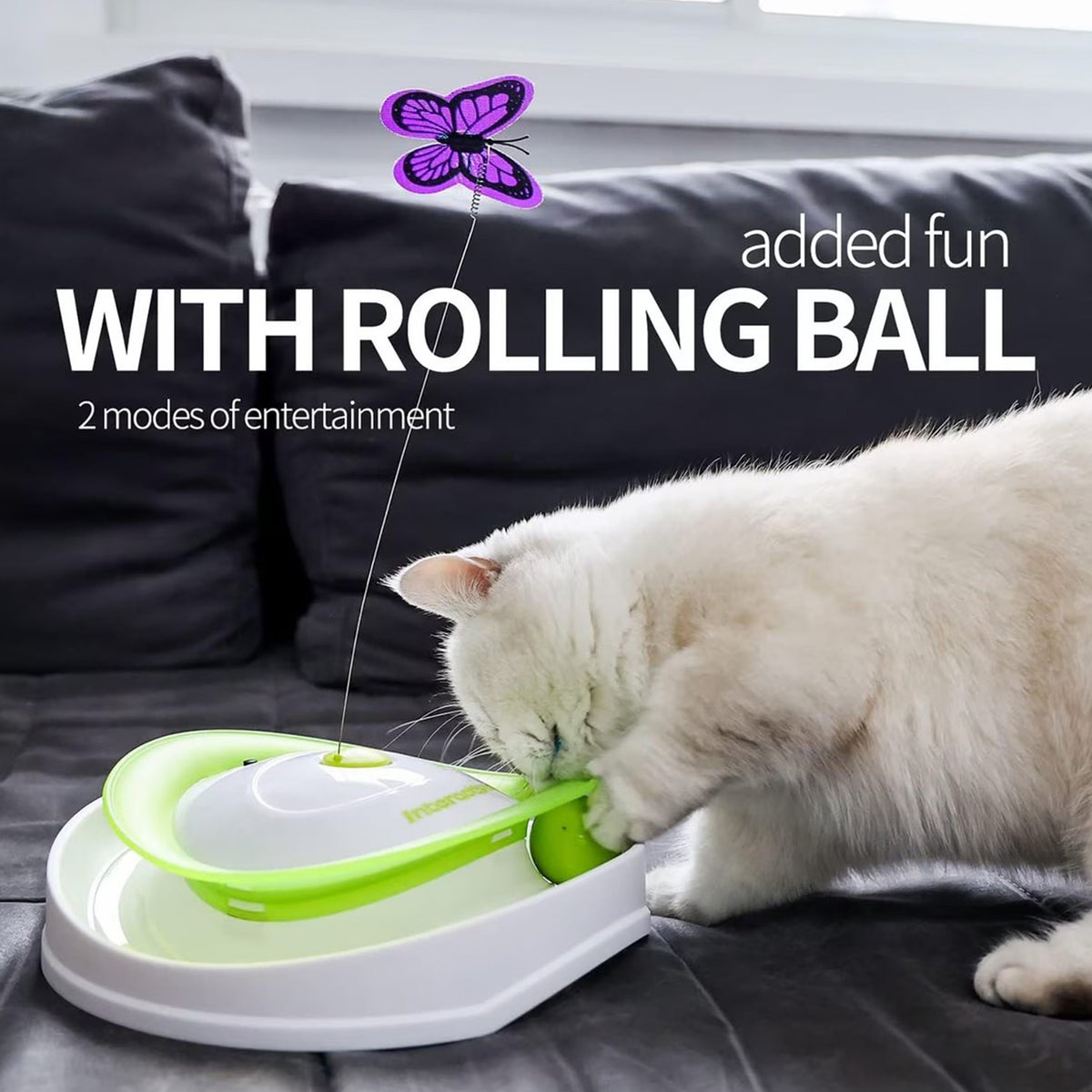 Interactives - Cat Toys - Roll Around Flutter Bug for Enrichment