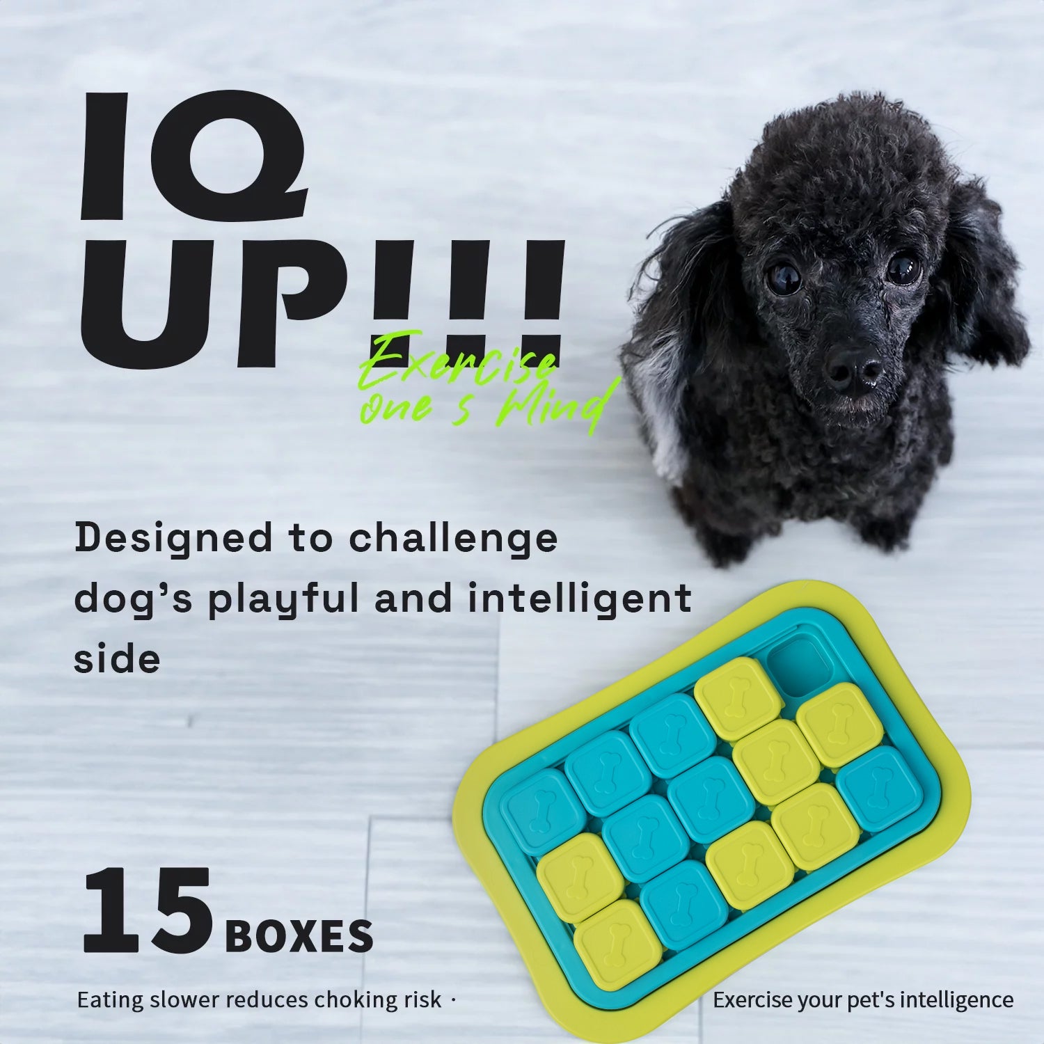 AFP(All For Paws) Pet Products