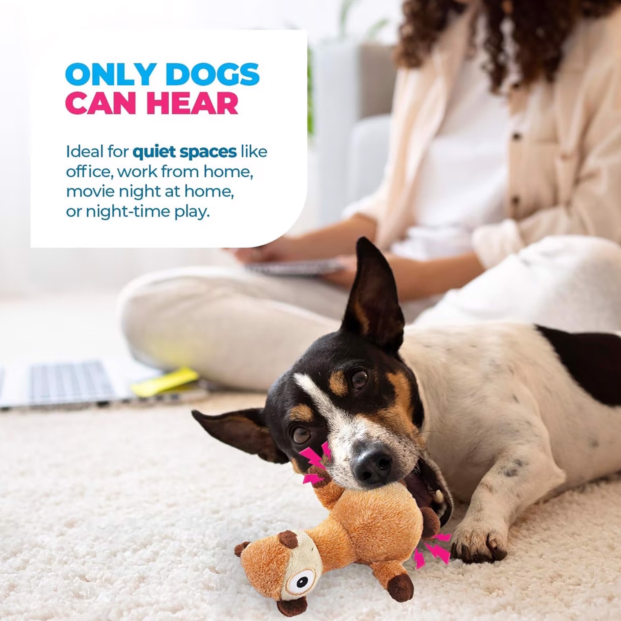 Ultrasonic Silent Squirrel Plush Dog Toy, Silent Squeaker Only Dogs Can Hear