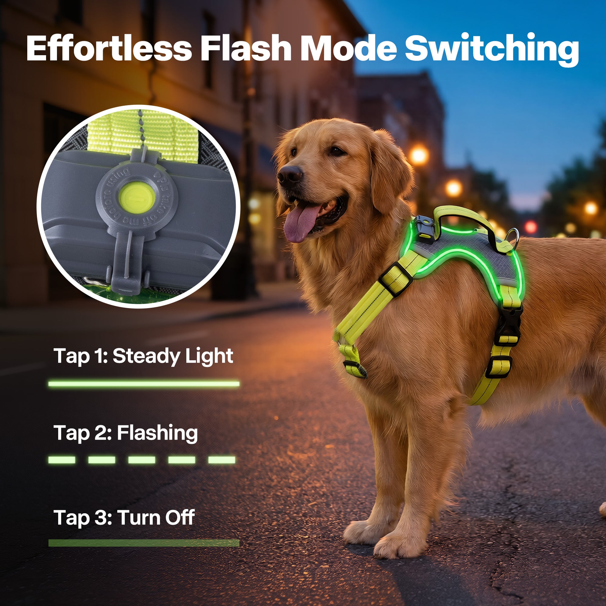 K-NITE - Dog Harness, Light Up Harness
