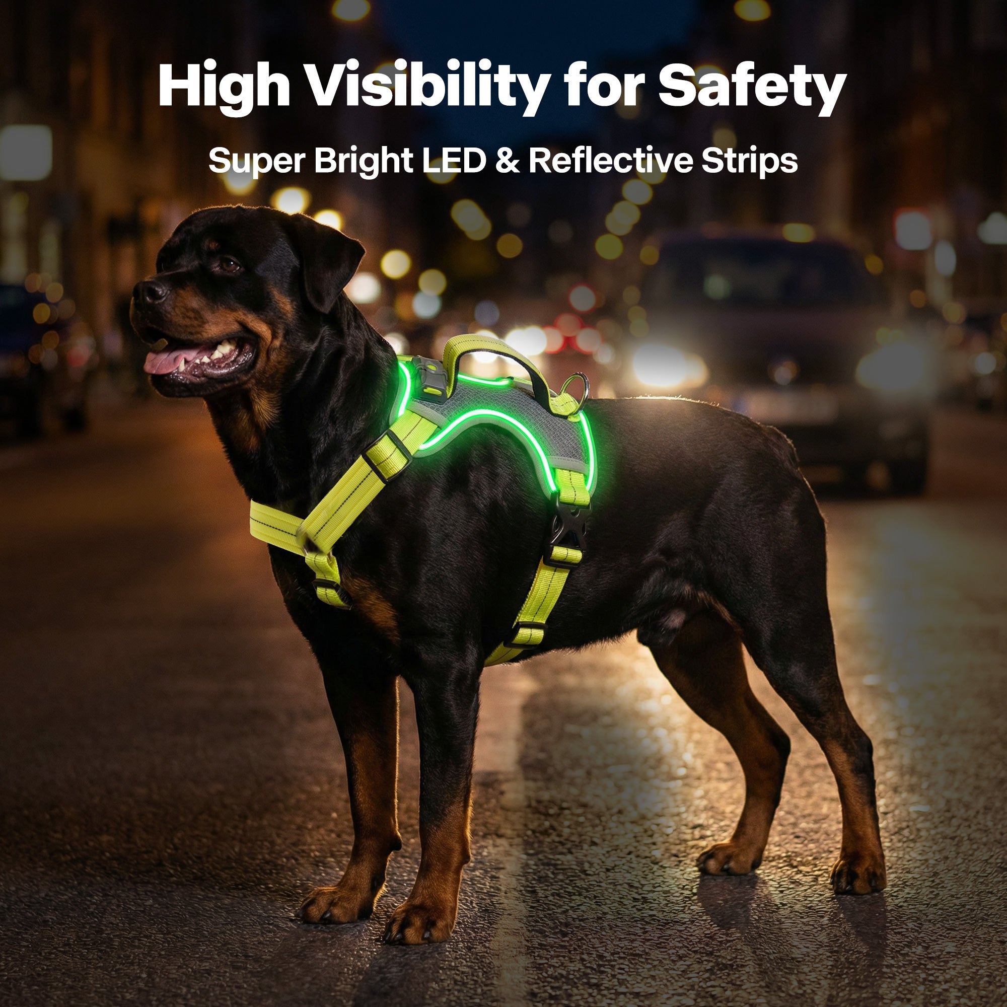K-NITE - Dog Harness, Light Up Harness
