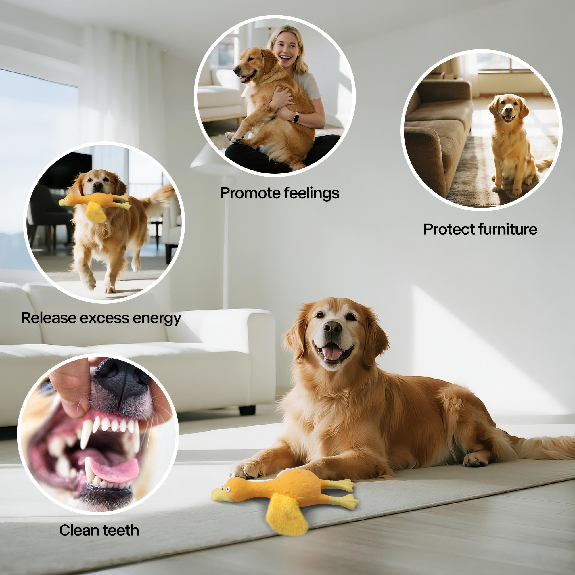 AFP(All For Paws) Pet Products