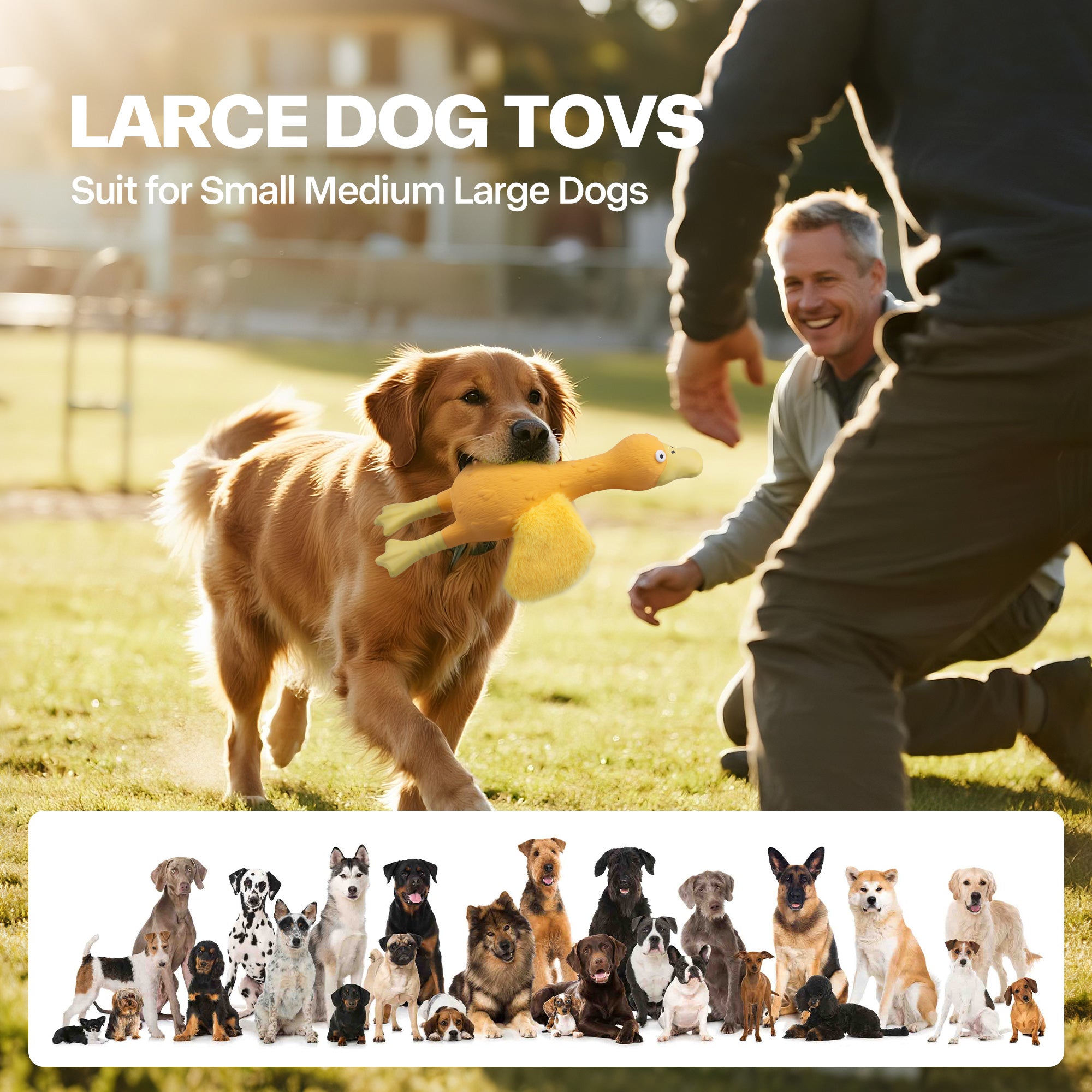 AFP(All For Paws) Pet Products