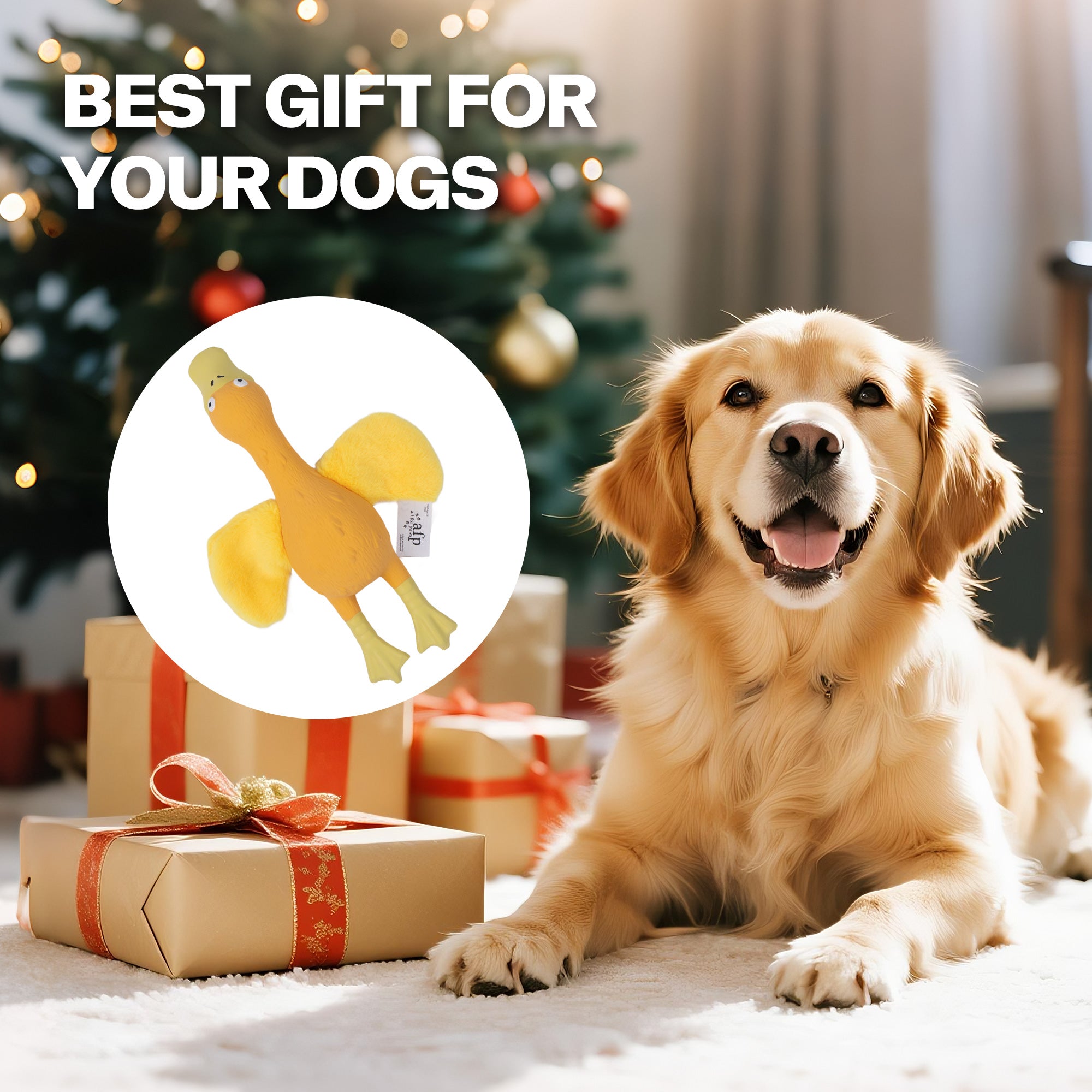 AFP(All For Paws) Pet Products