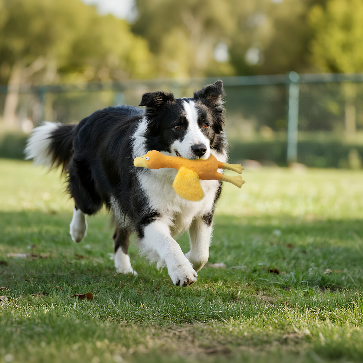 ZooTex - Squeaky Latex Dog Toys - Soft Wing Duck