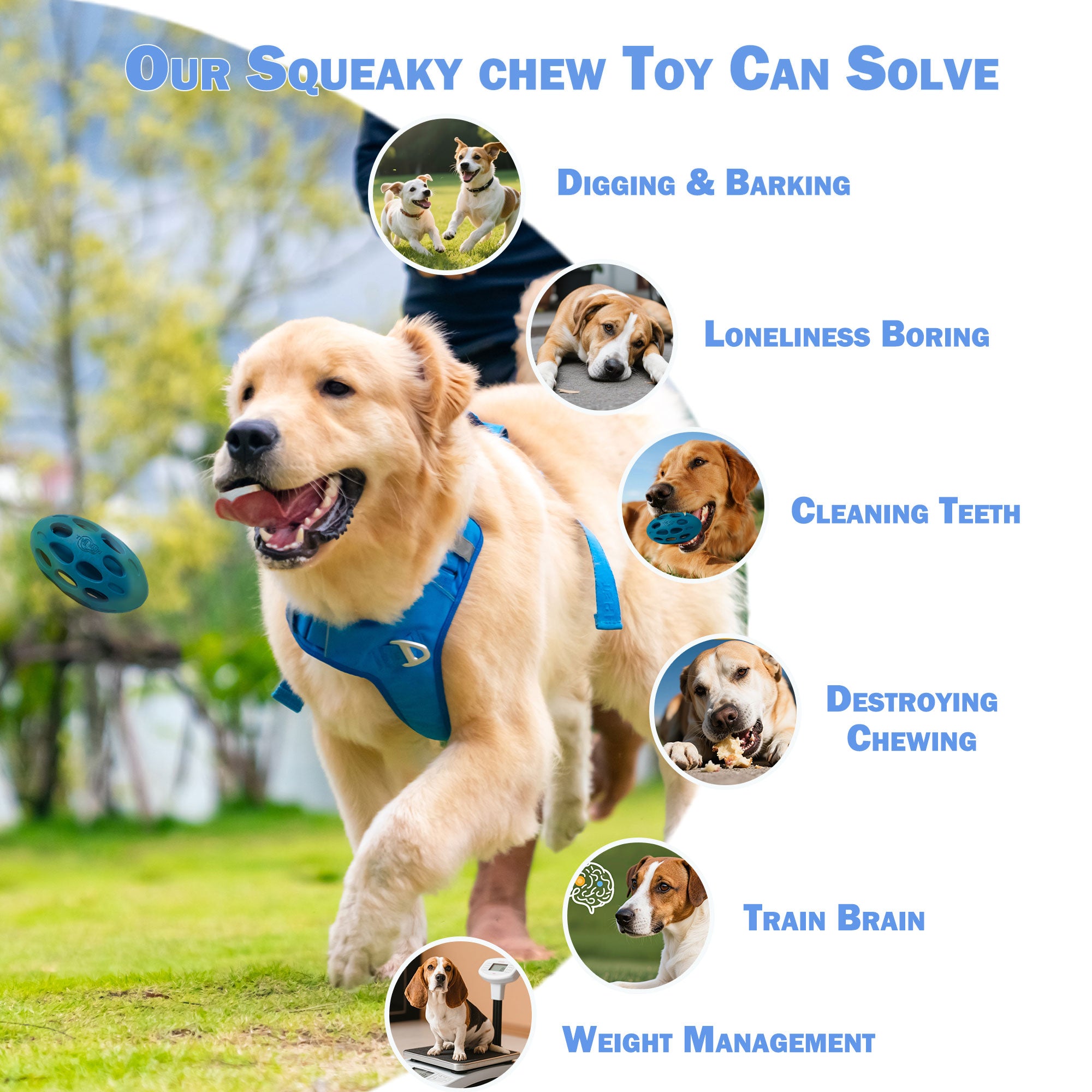 AFP(All For Paws) Pet Products