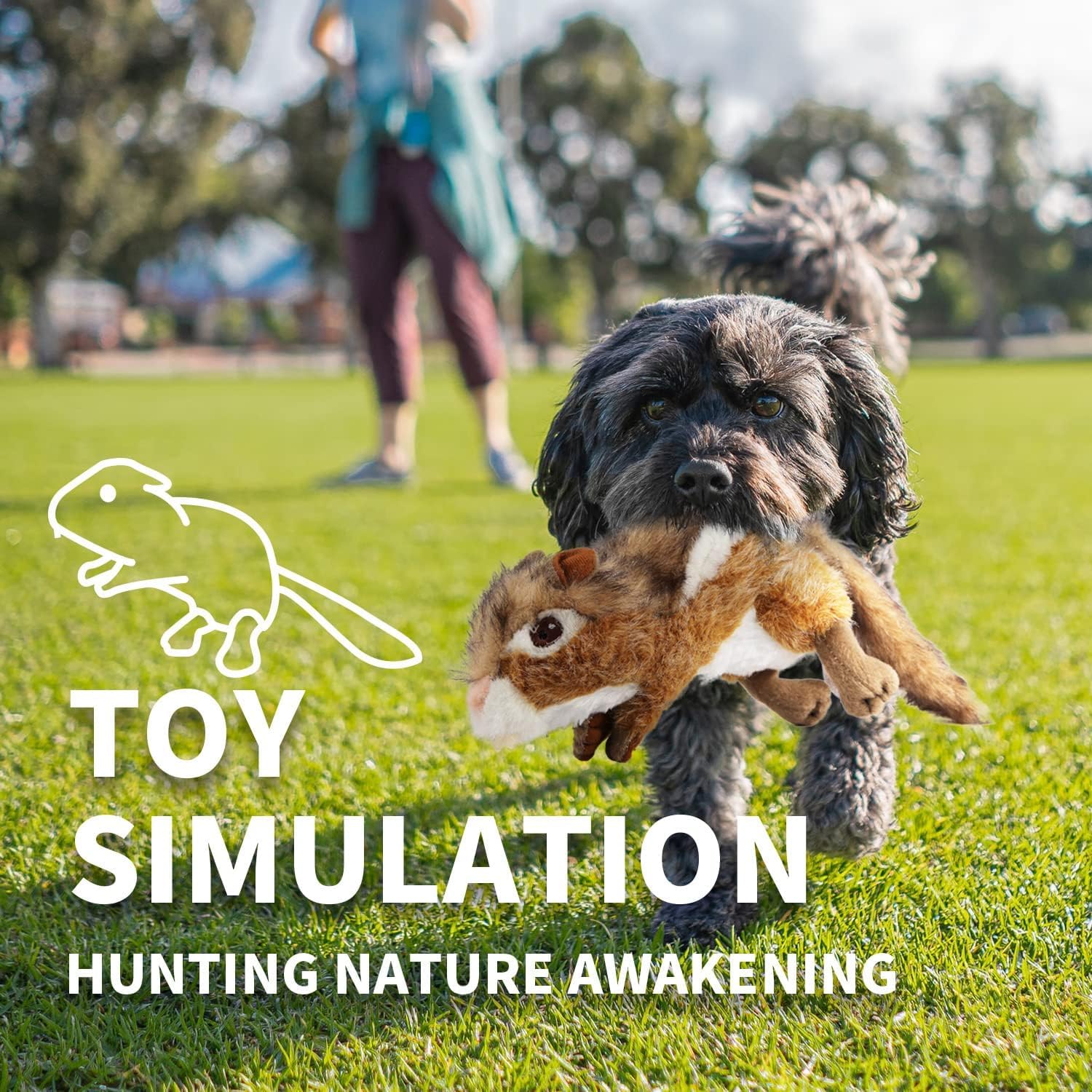 AFP(All For Paws) Pet Products
