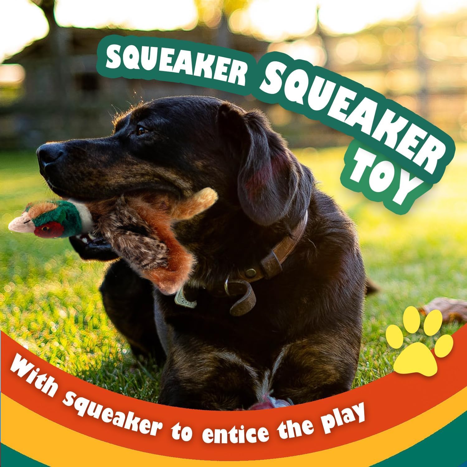 AFP(All For Paws) Pet Products