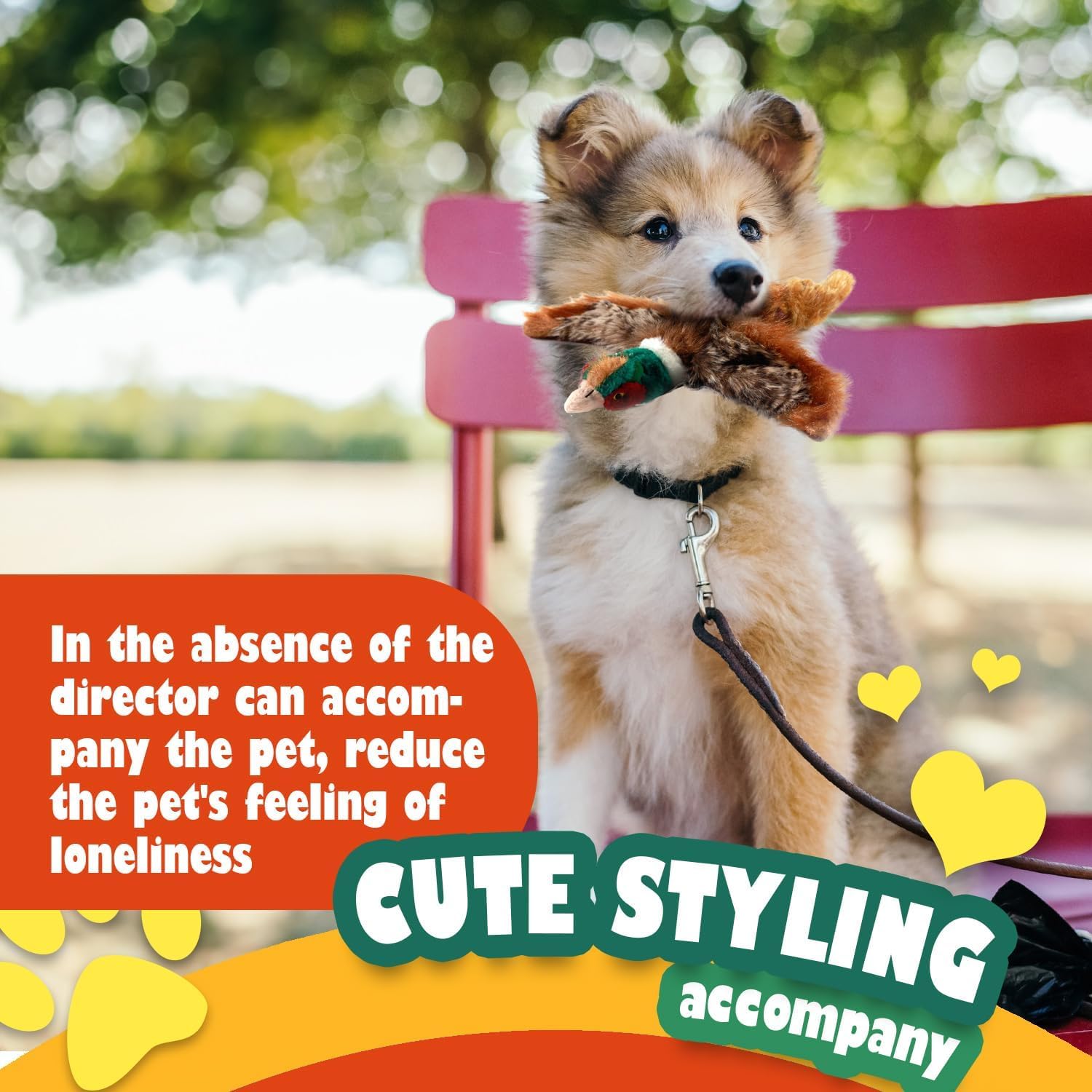 AFP(All For Paws) Pet Products