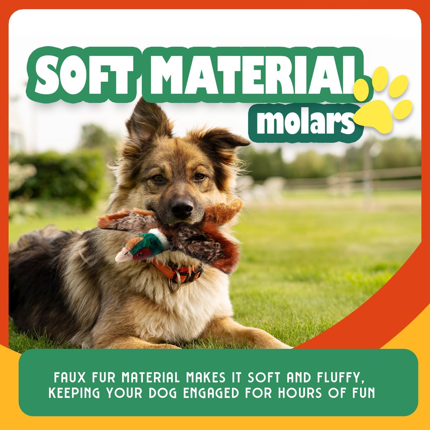 AFP(All For Paws) Pet Products