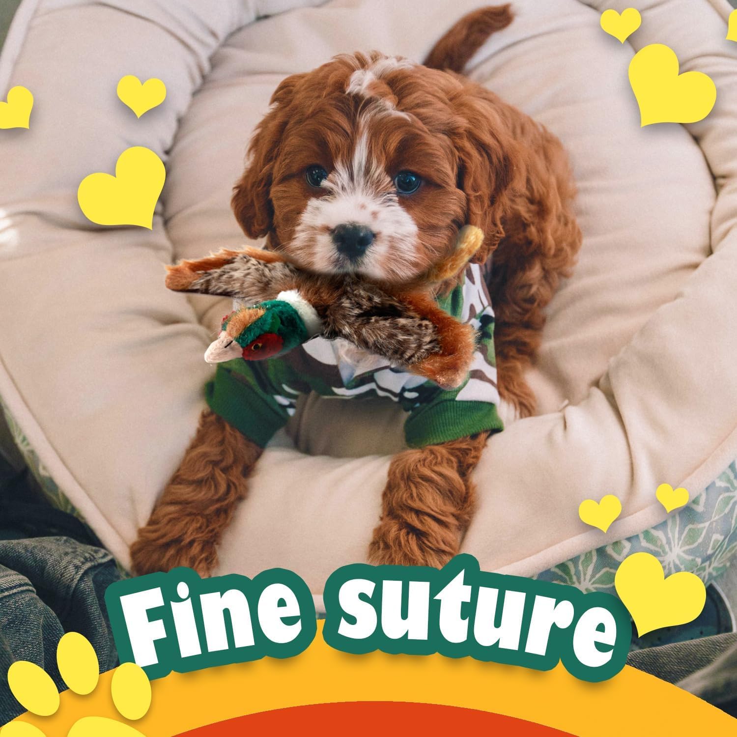 AFP(All For Paws) Pet Products
