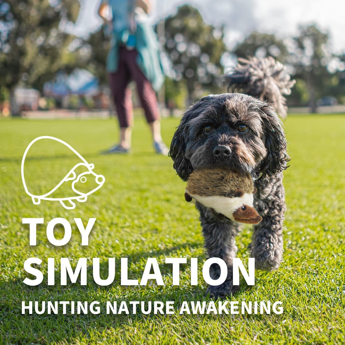 Classic - Dog Toys - Squeaky Dog Hedgehog Toys for Dogs