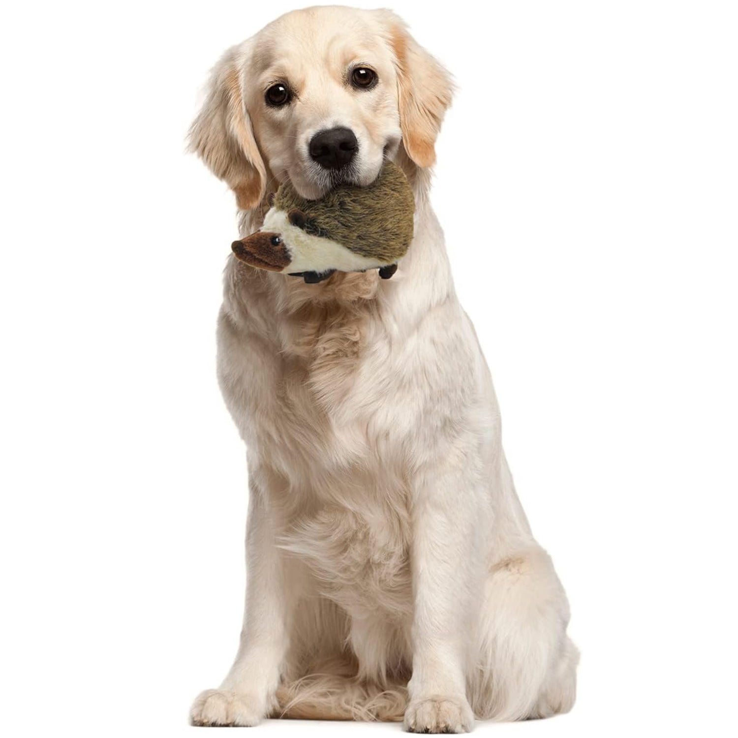 AFP(All For Paws) Pet Products