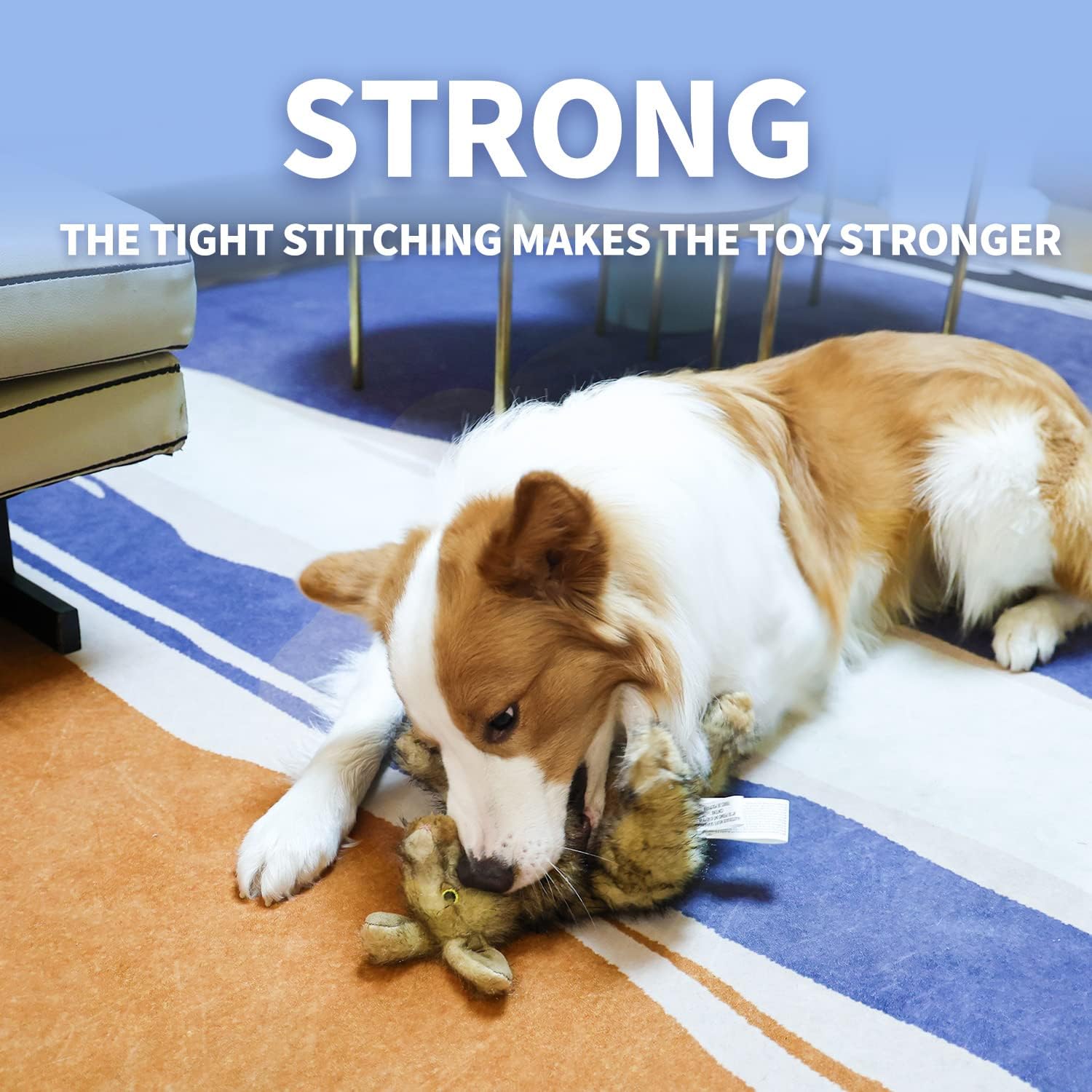 AFP(All For Paws) Pet Products