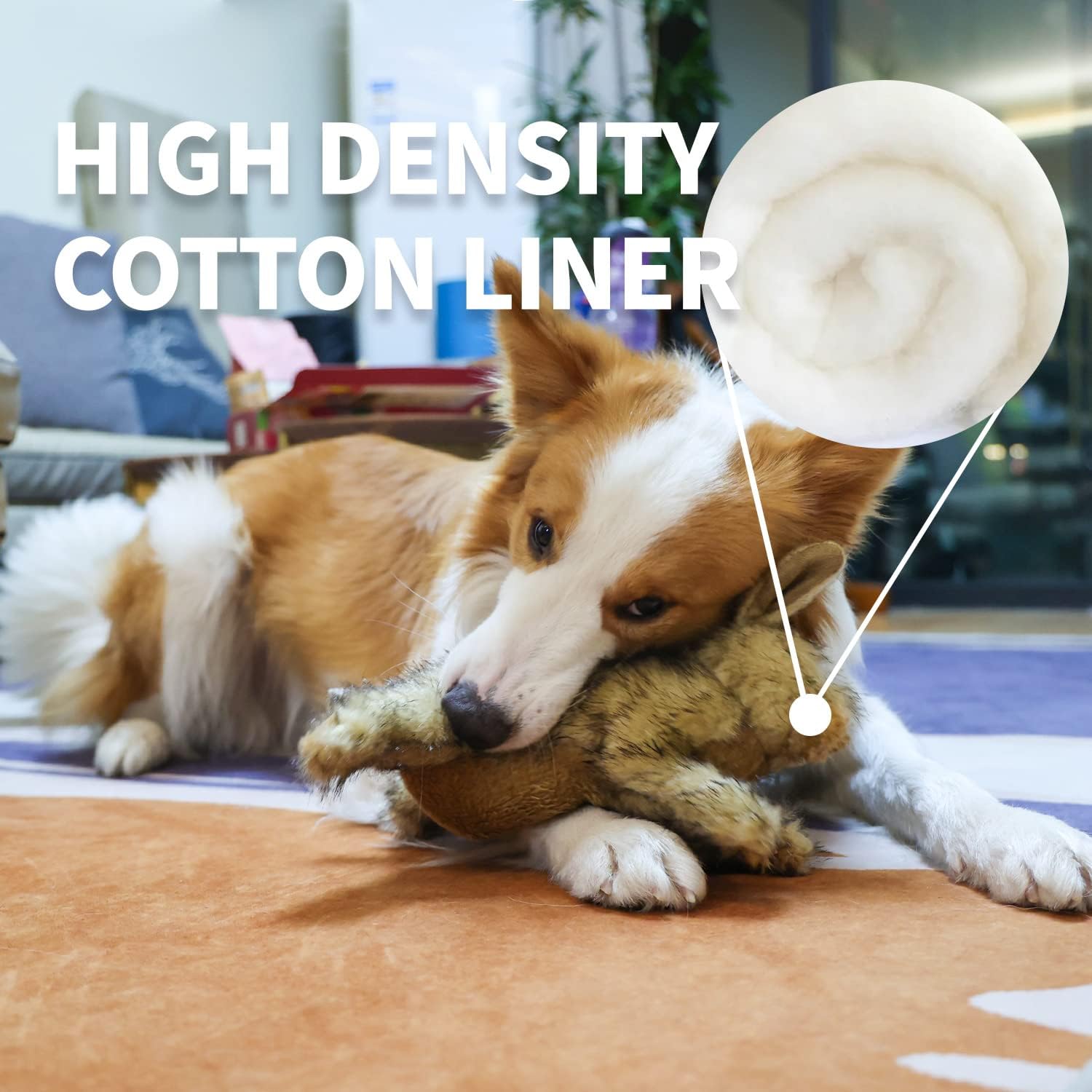 AFP(All For Paws) Pet Products