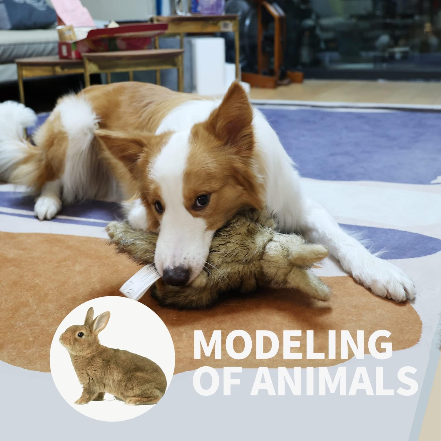 AFP(All For Paws) Pet Products