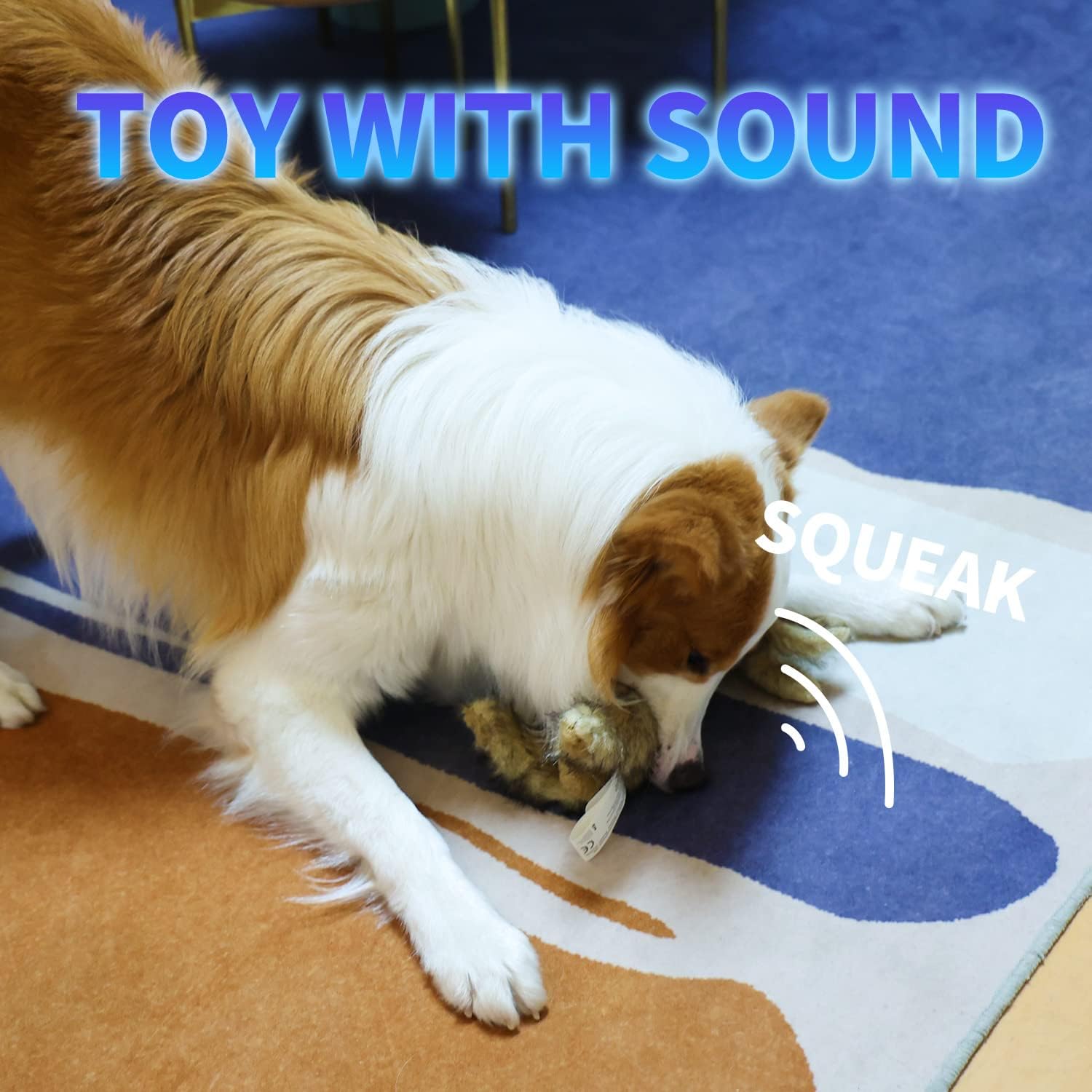 AFP(All For Paws) Pet Products