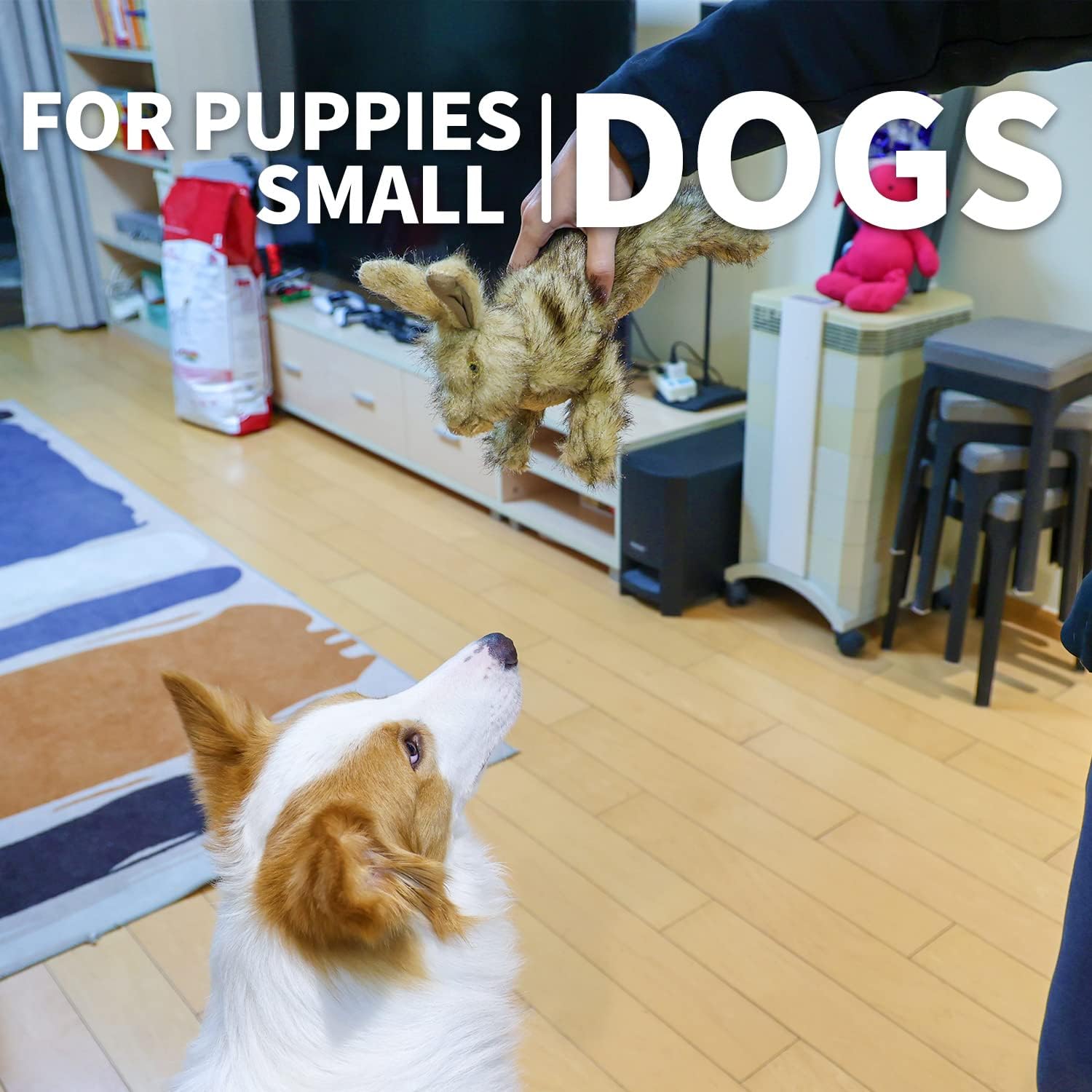 AFP(All For Paws) Pet Products
