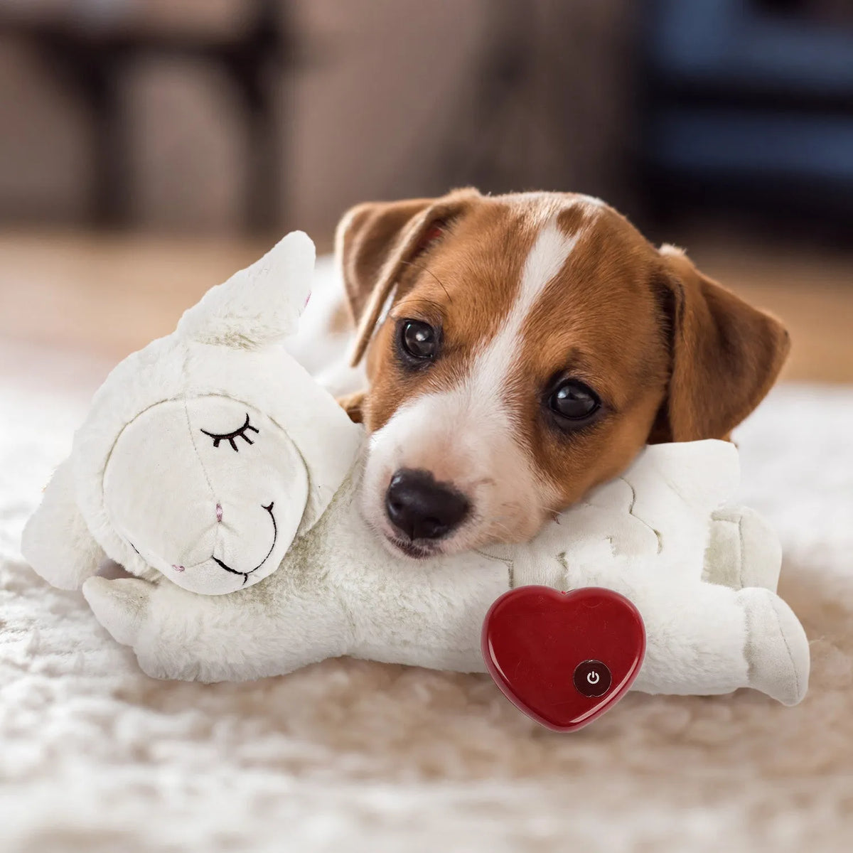 Snuggle Sheep Pet Behavioral Aid Plush Toy