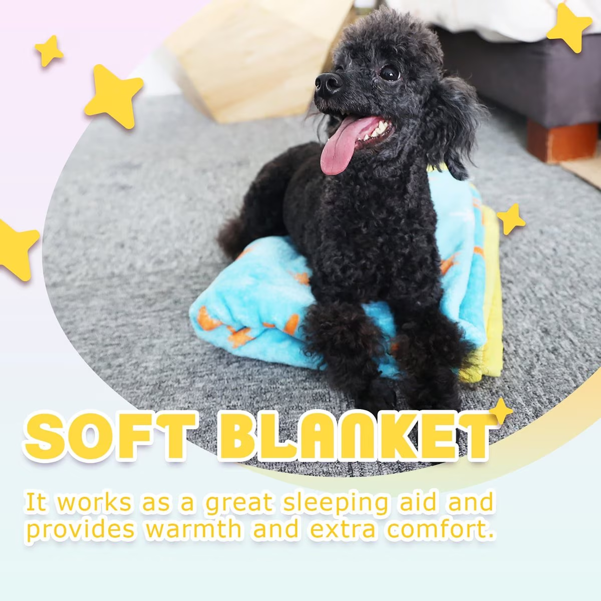 Pups - New Puppy Starter Kit