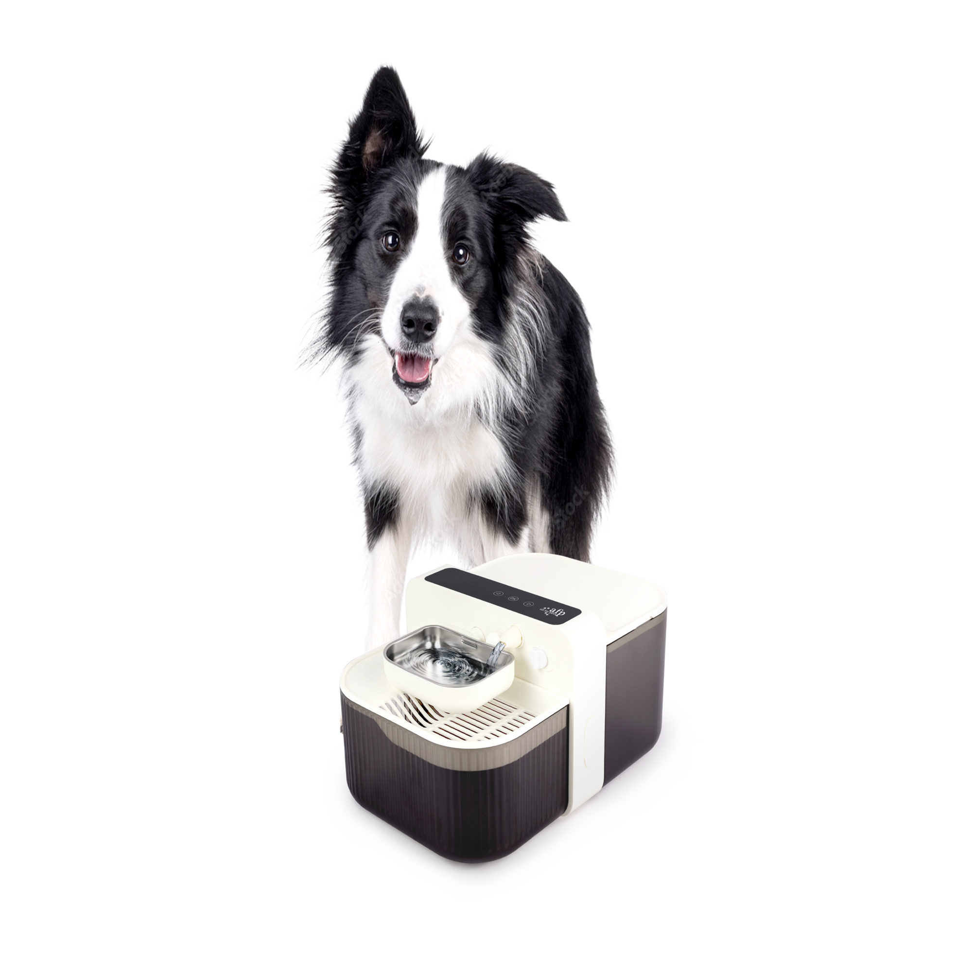 Lifestyle 4 pets-FreshSip Water Dispenser