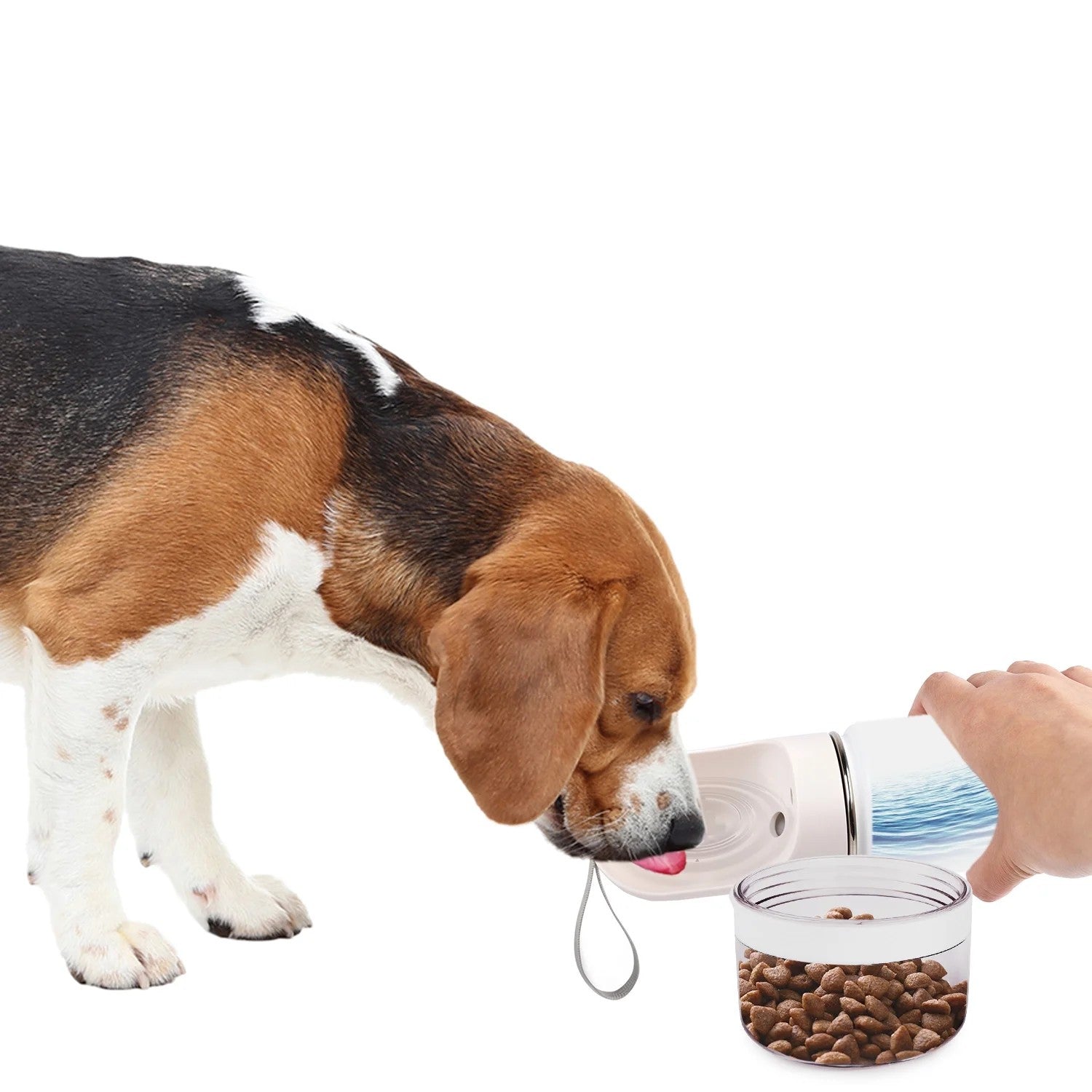 AFP(All For Paws) Pet Products