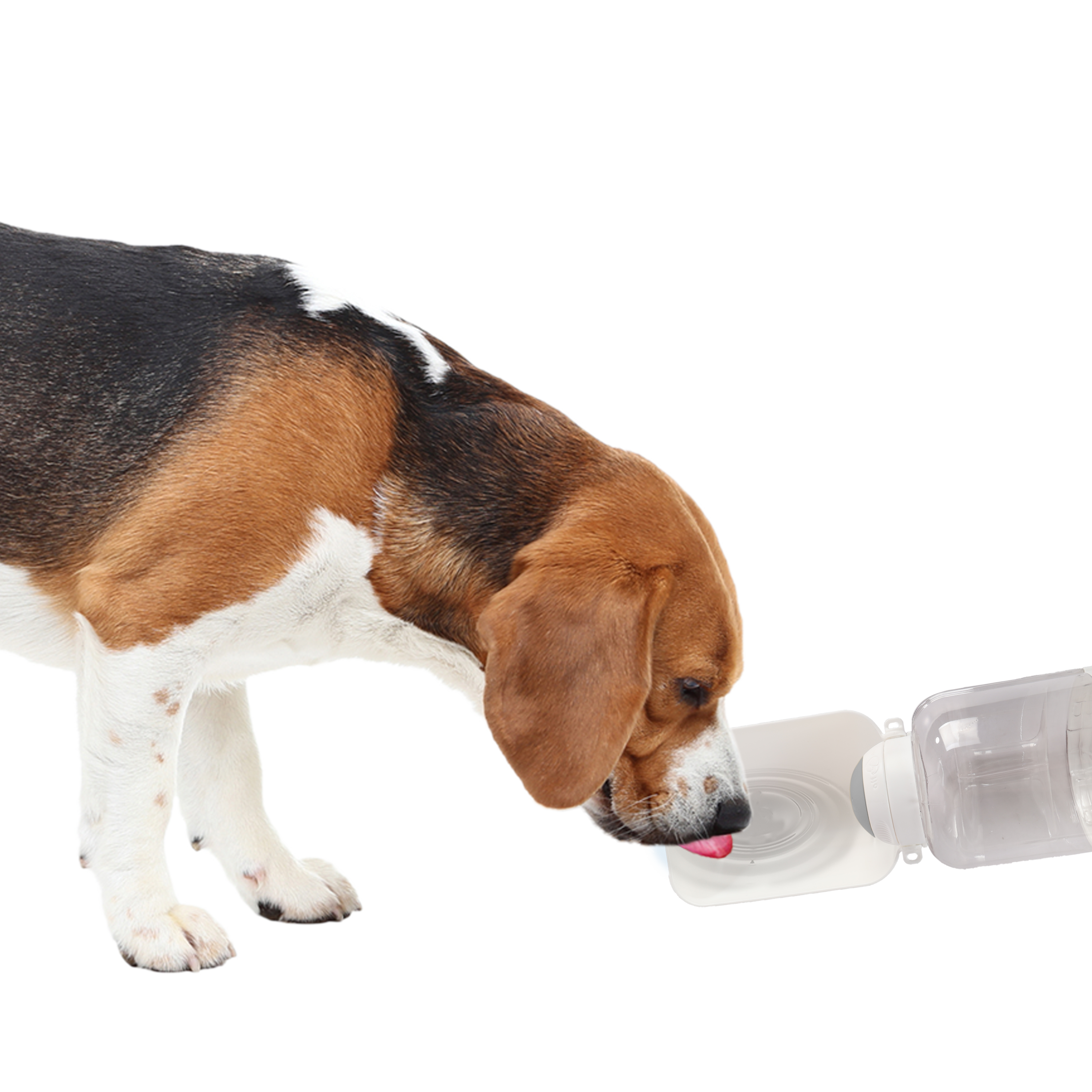 Lifestyle 4 pets-Mess Free Portable Drink & Food Bottle