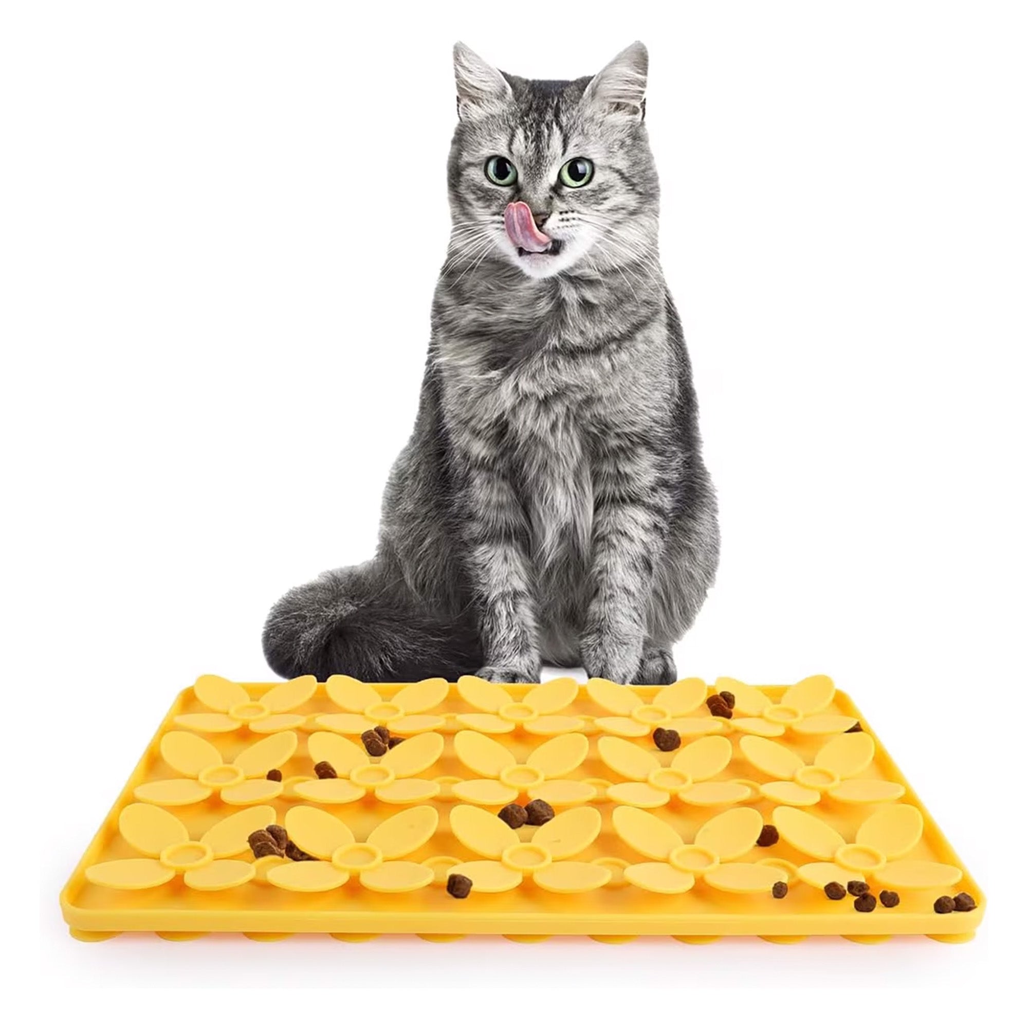 Cat Toy Surprise Box – 9 Interactive Cat Toys in One Fun Set | all for paws