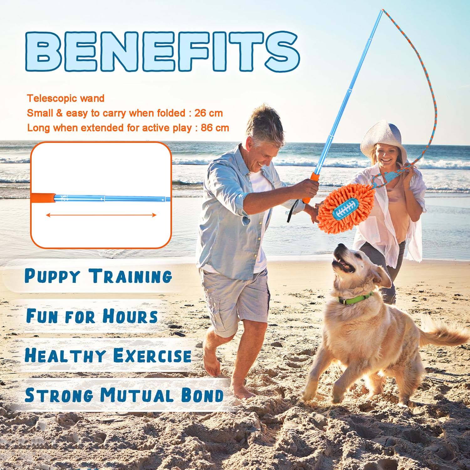 AFP(All For Paws) Pet Products