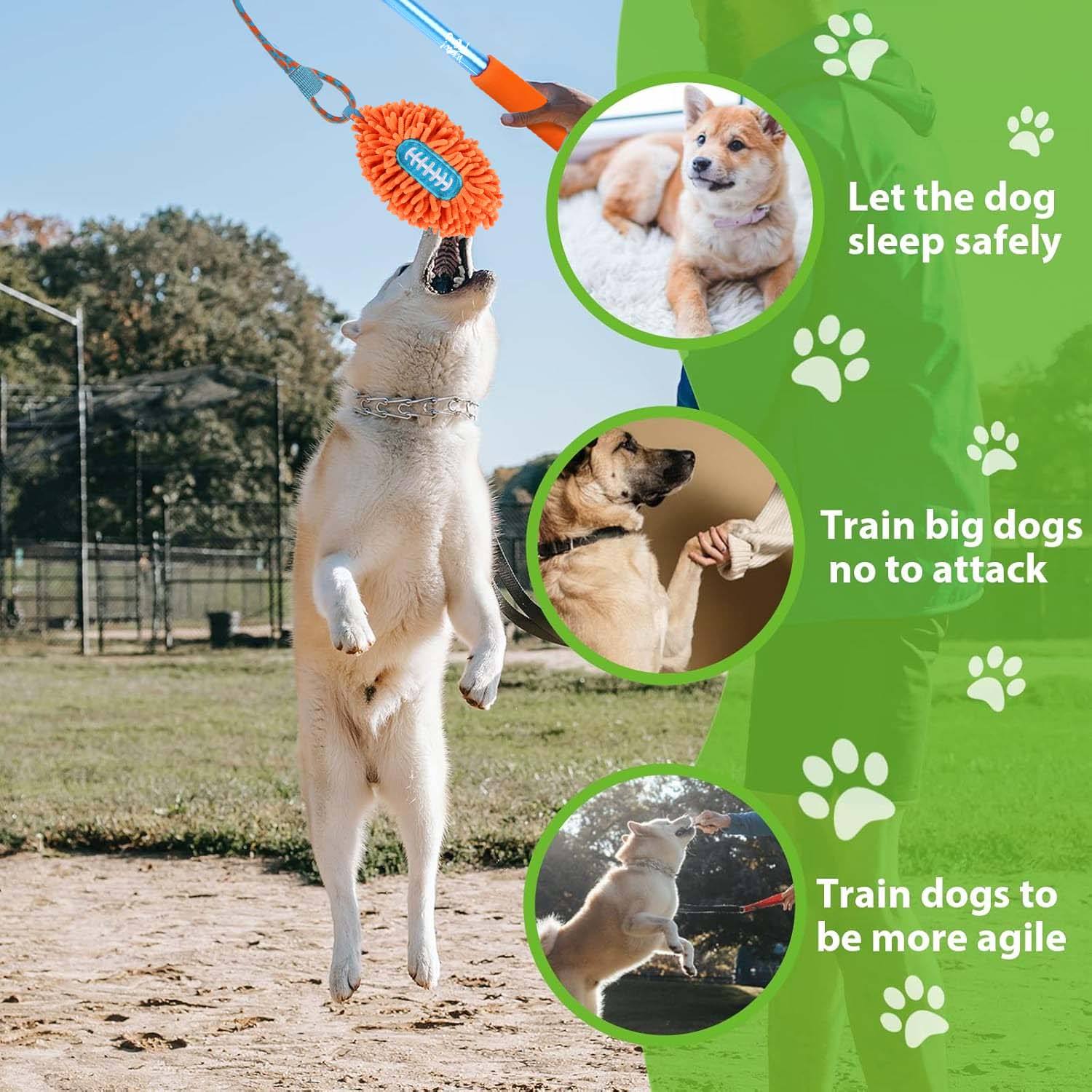 AFP(All For Paws) Pet Products