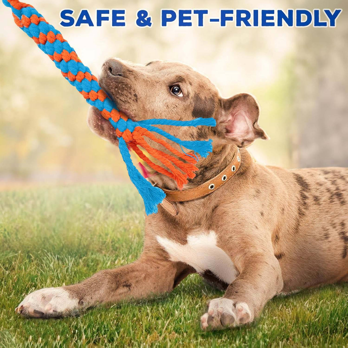 Wow Play - Dog Flirt Pole with American Football & Rope Tail Toys