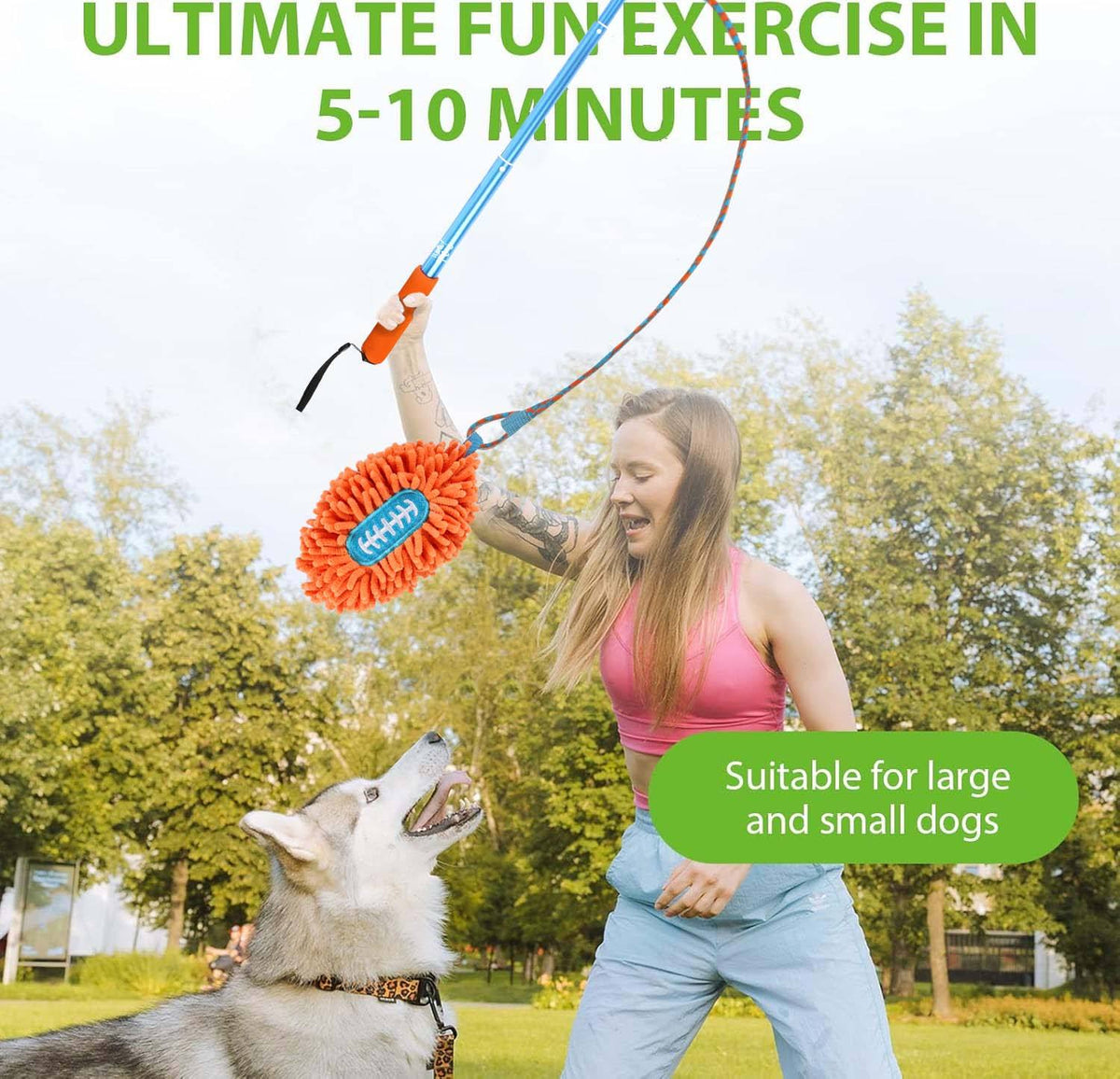 Wow Play - Dog Flirt Pole with American Football & Rope Tail Toys