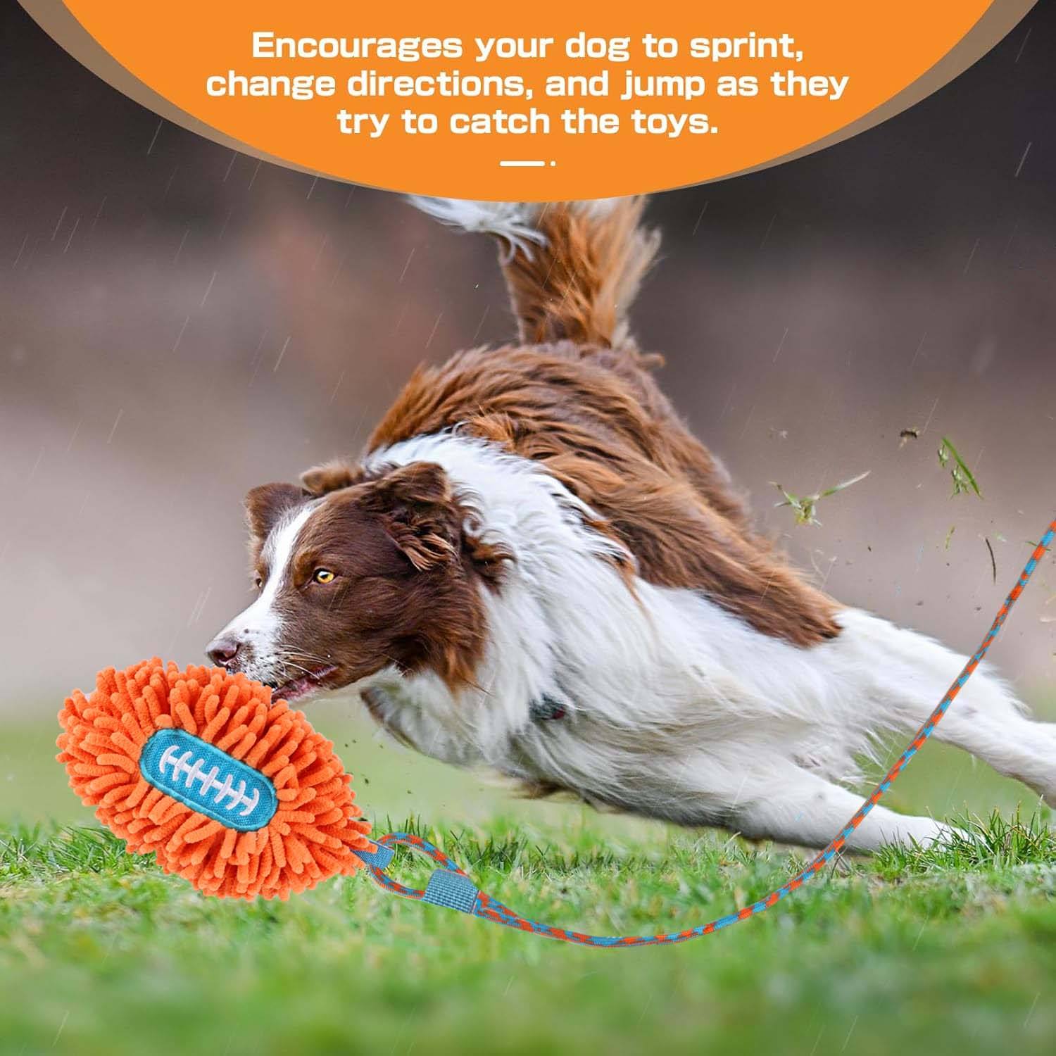 AFP(All For Paws) Pet Products