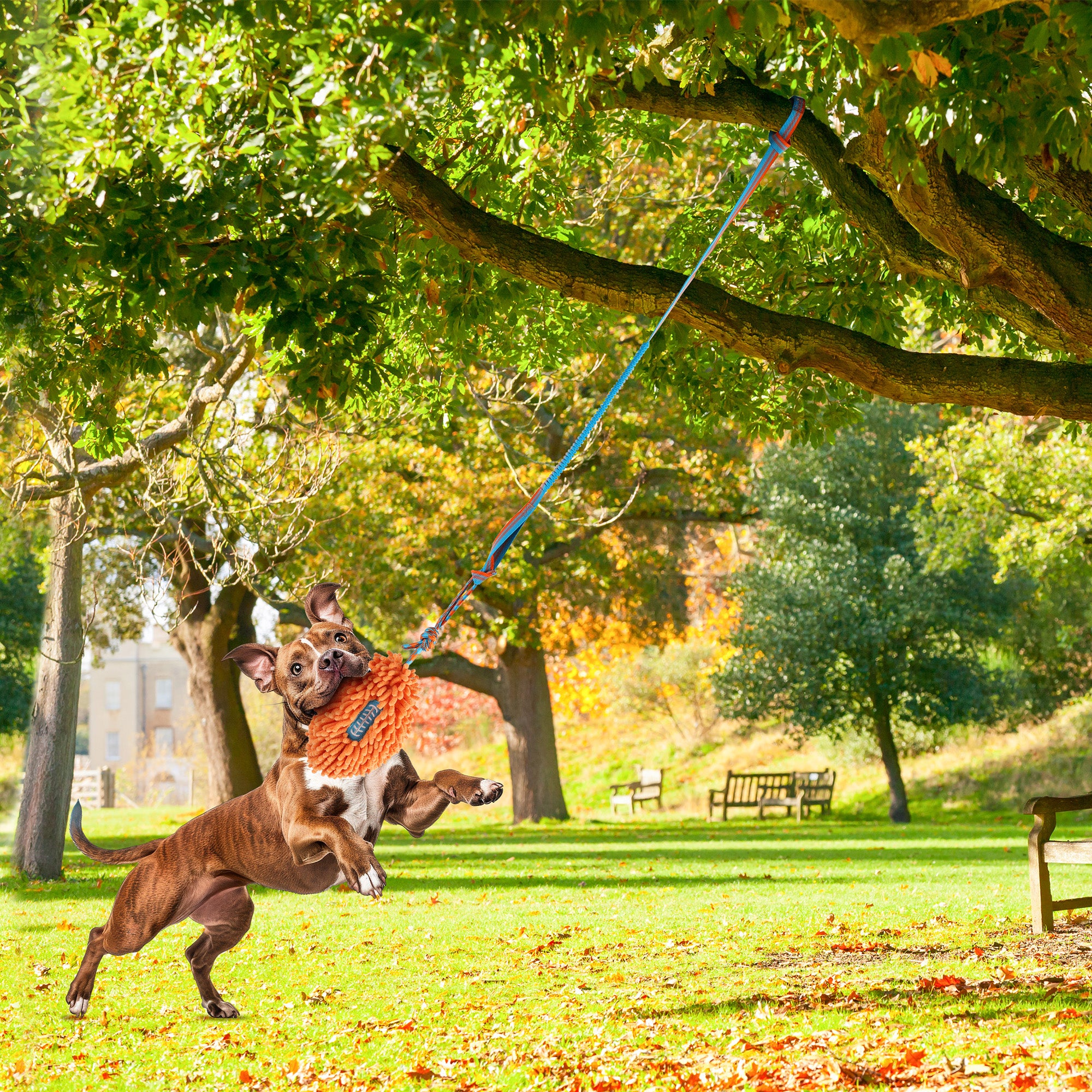 Wag Play - Dog Toys - TREE TUGGER