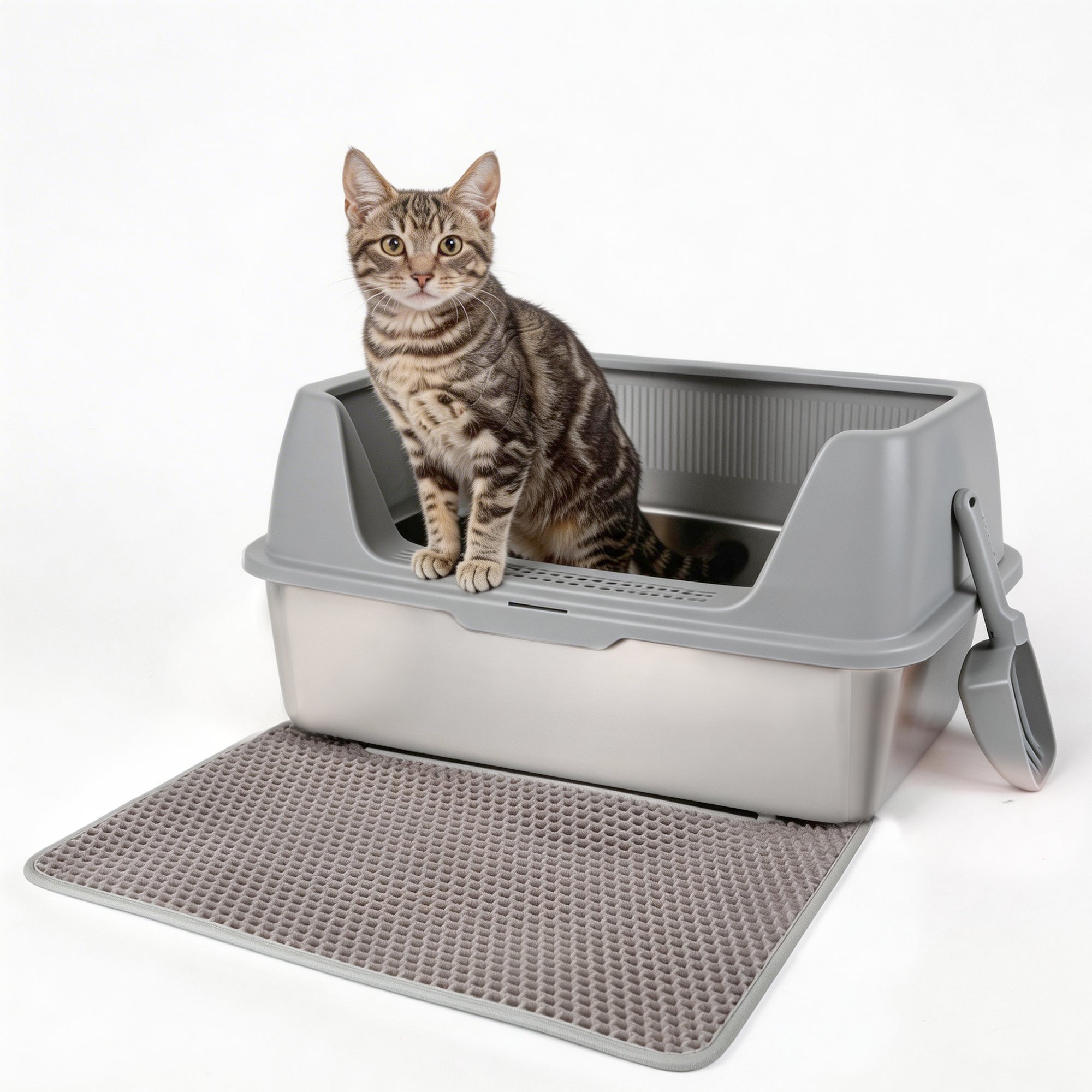 AFP Meowloo Stainless Steel Cat Litter Box (Item#2463/2464)