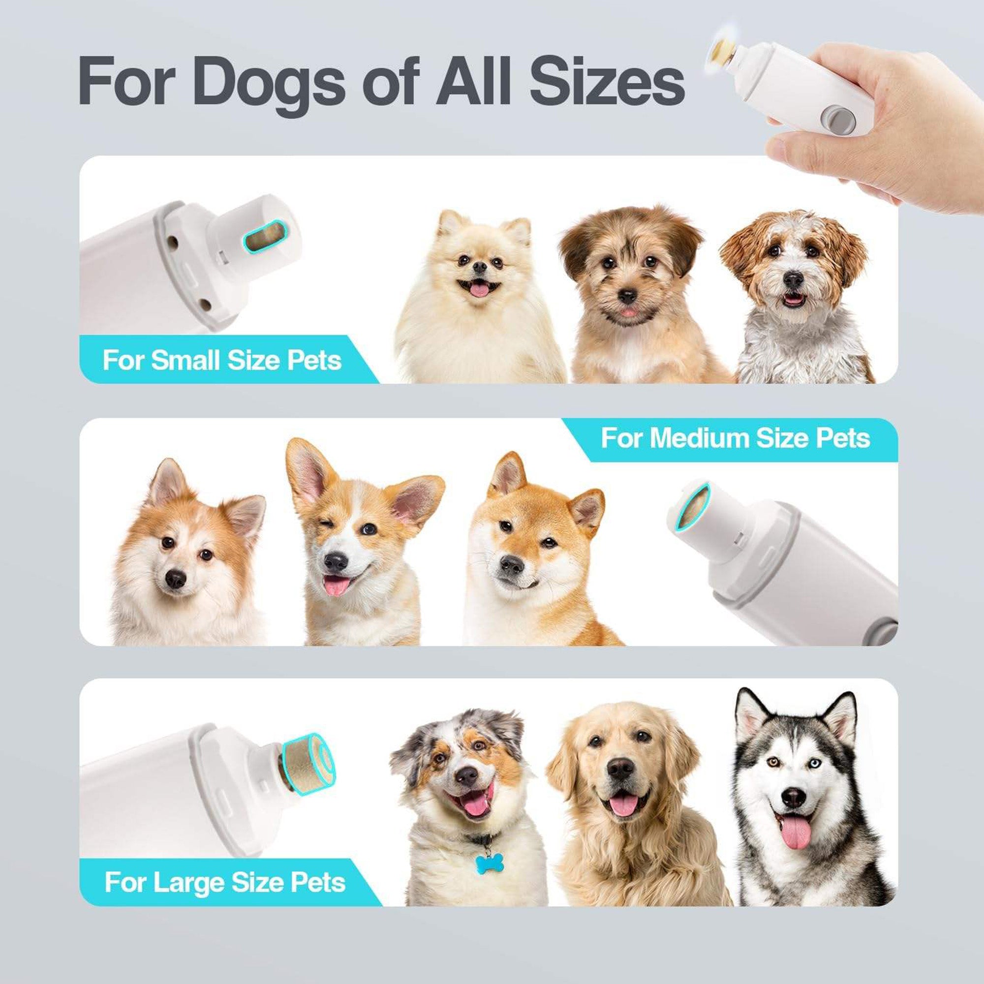 AFP(All For Paws) Pet Products