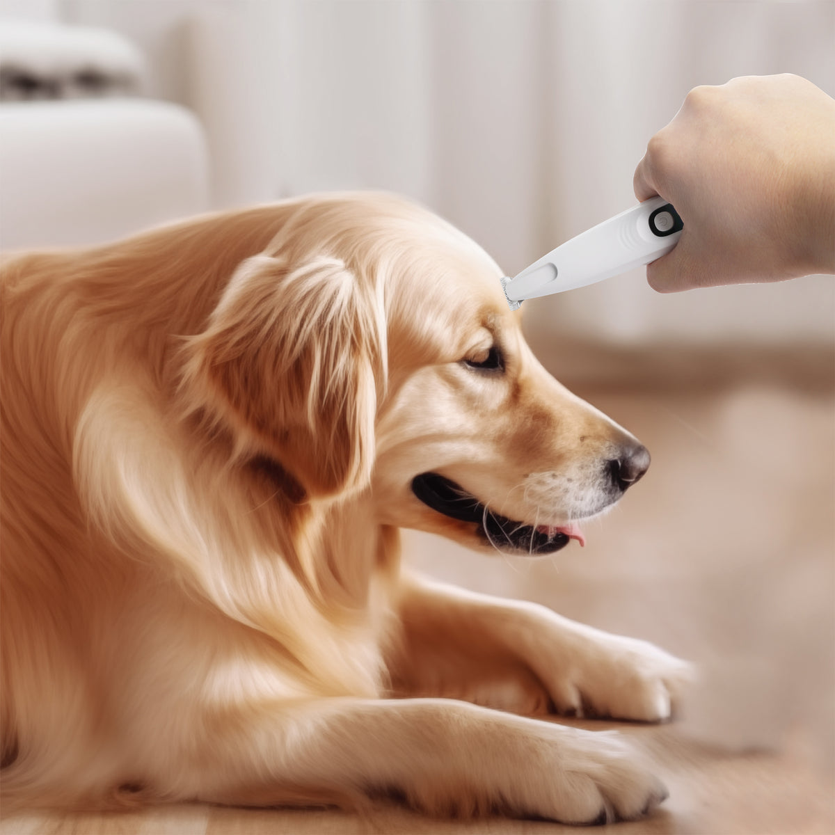 Pet Salon-Pet Hair Trimmer